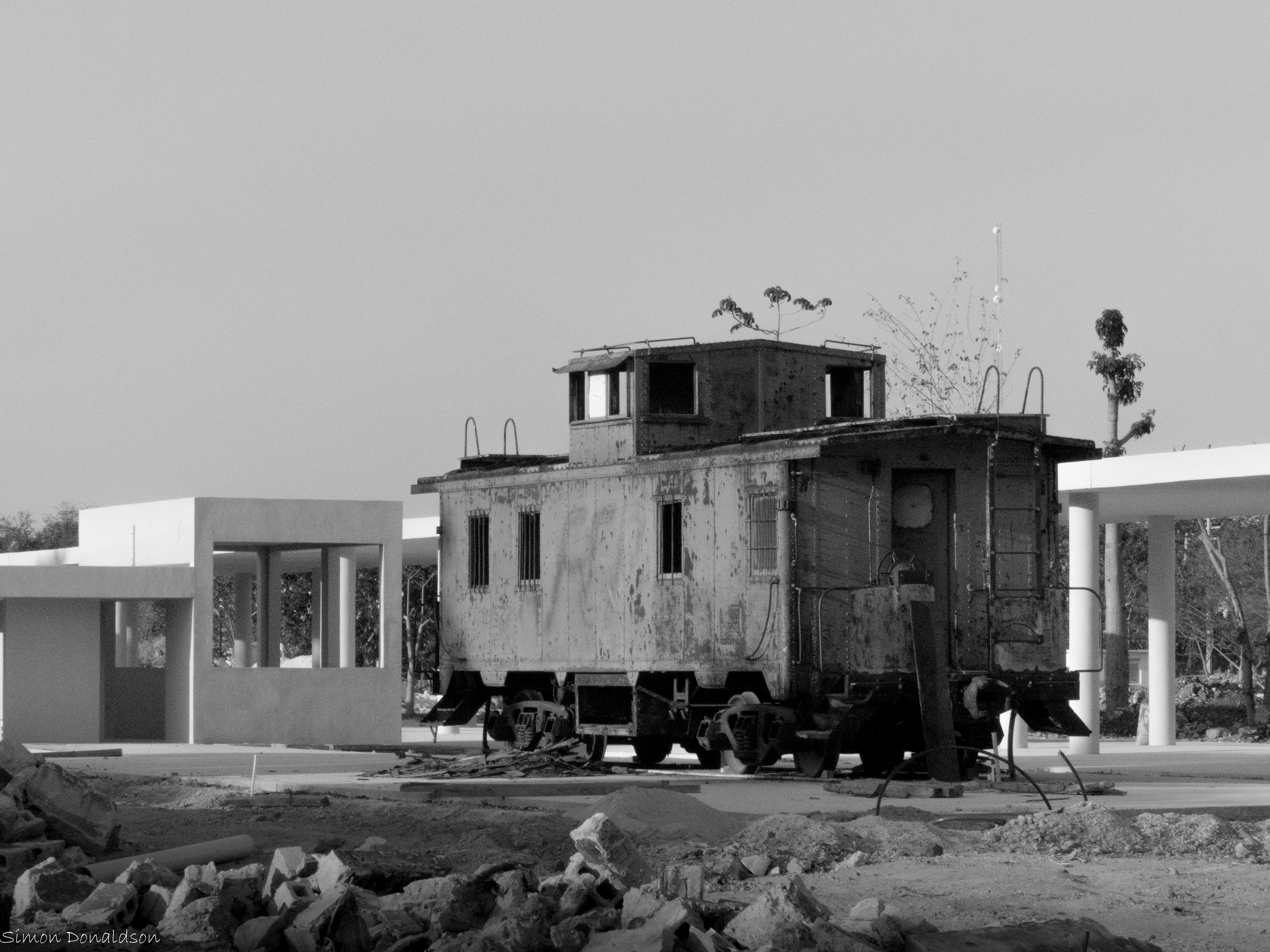 P1210389.jpg
