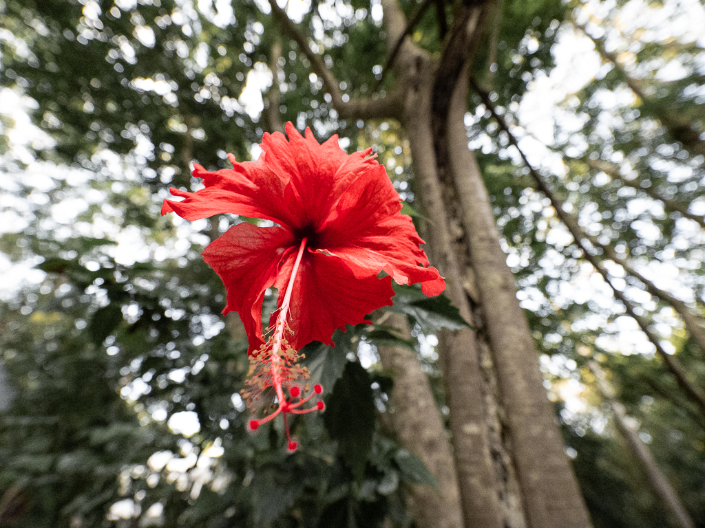 P1271143.jpg