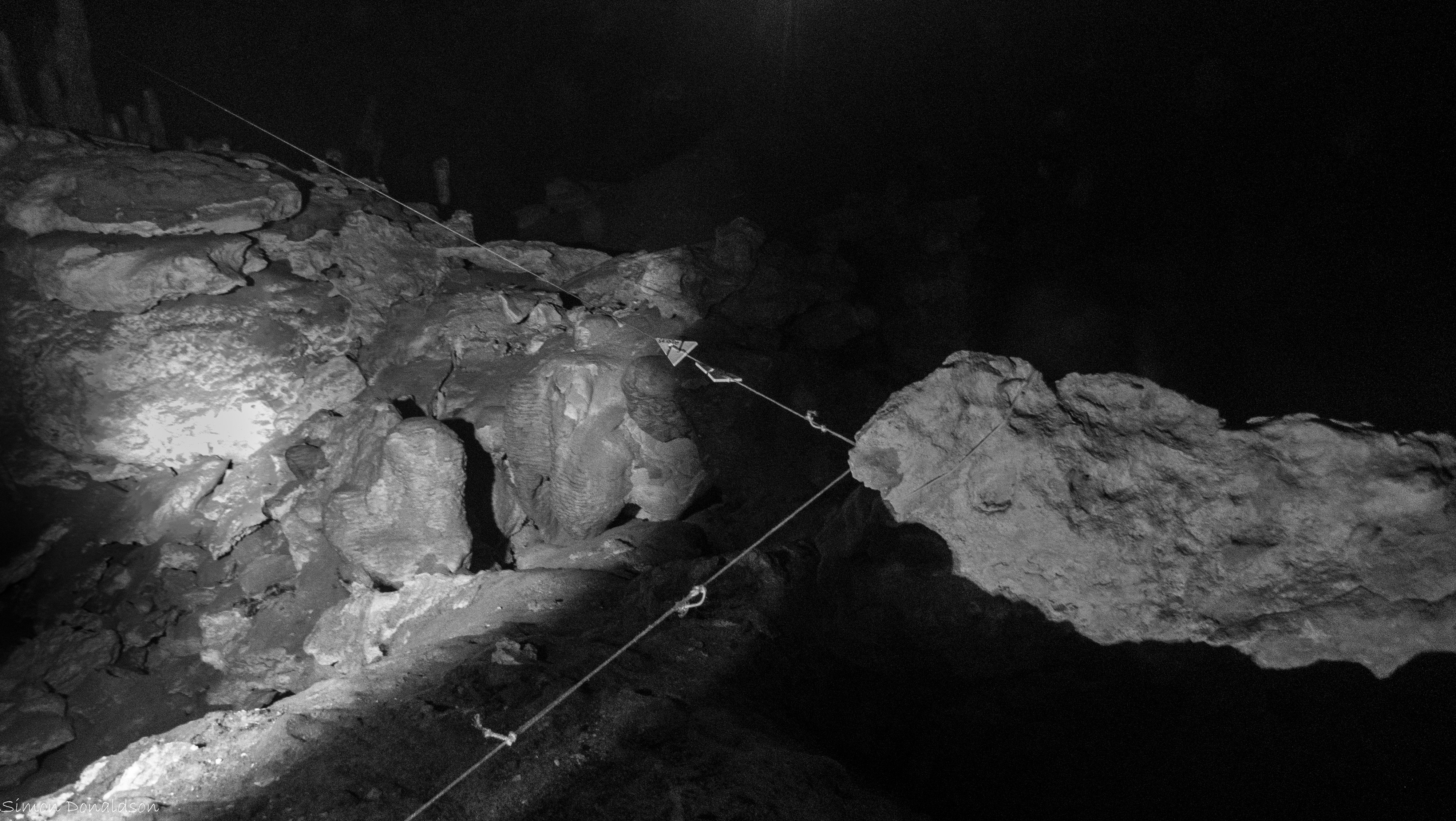 P2012113-2