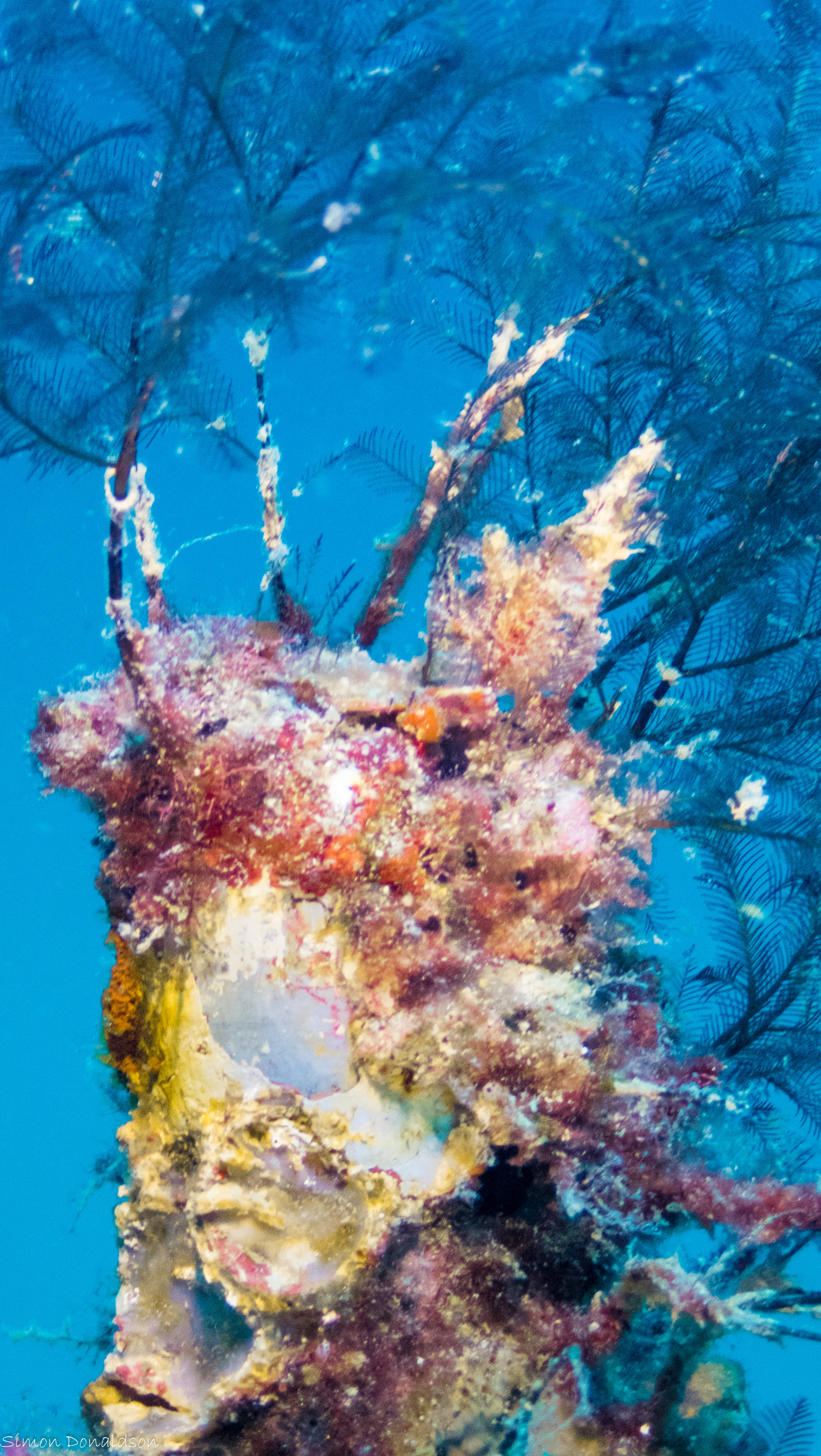 P2032245