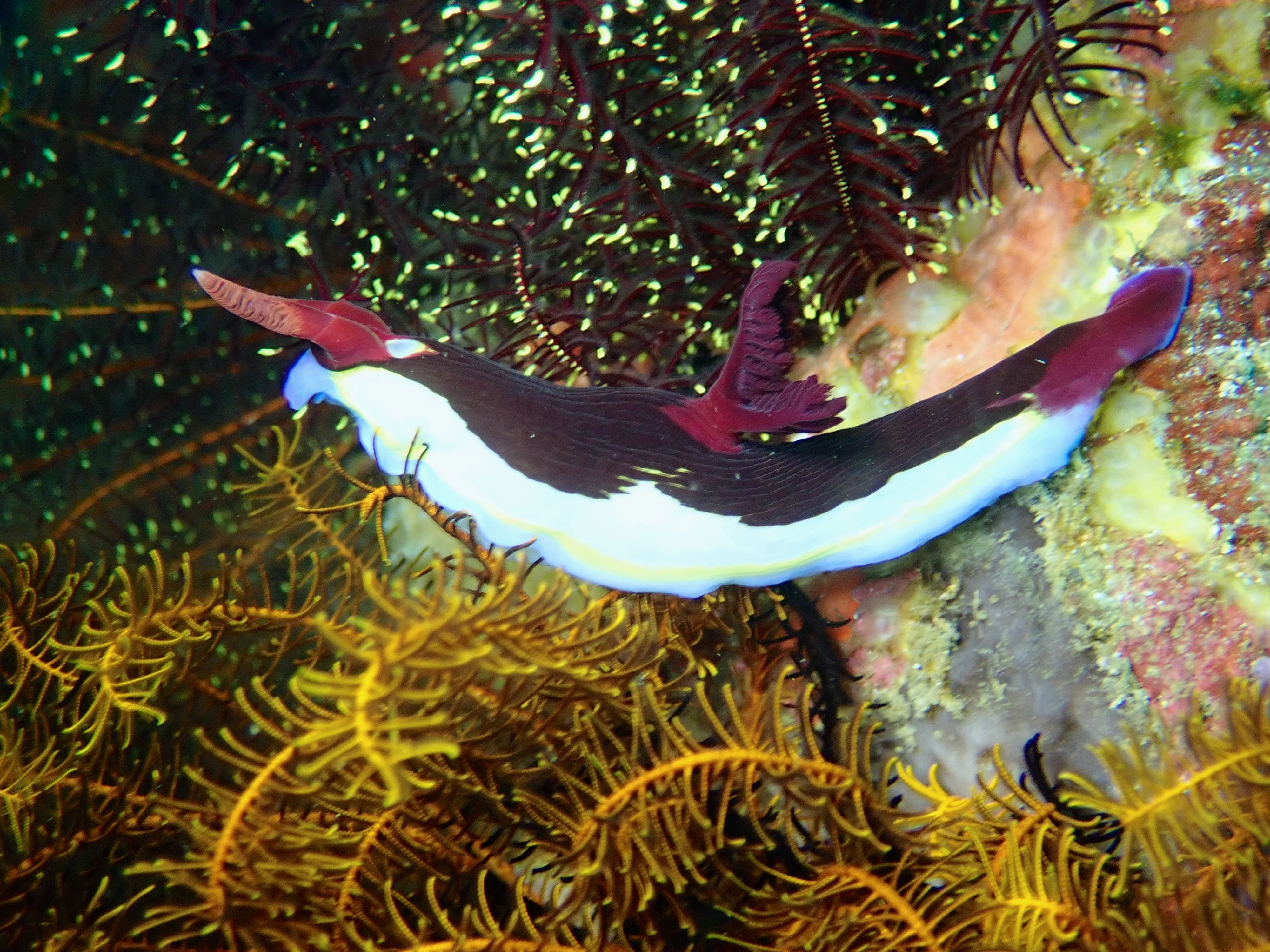 P3190437