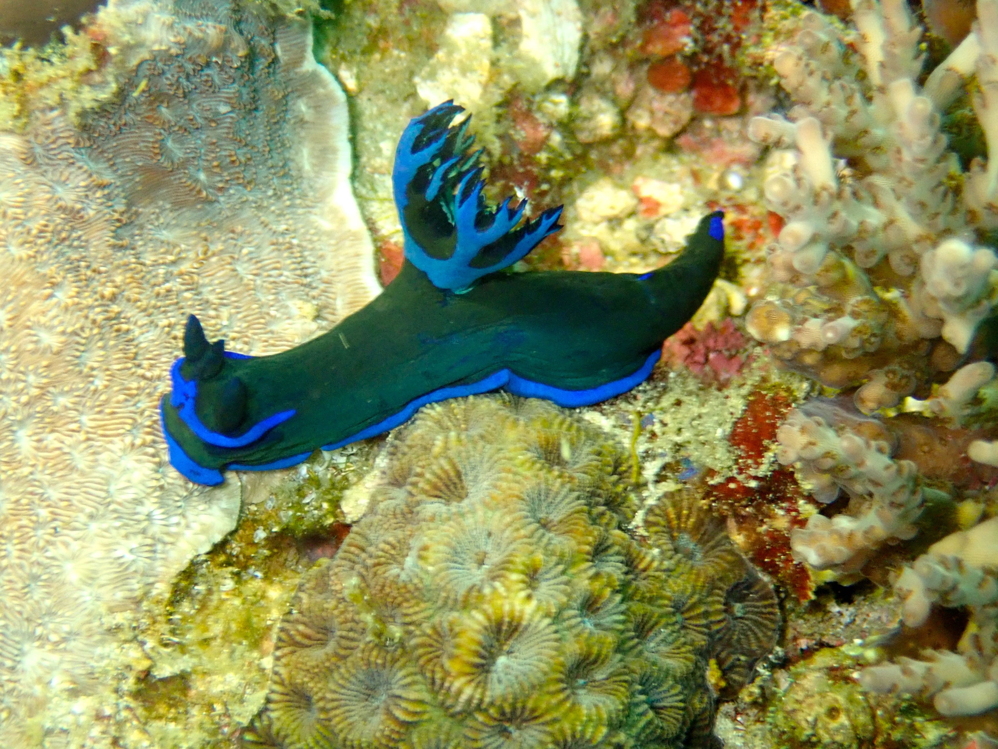 P3200491