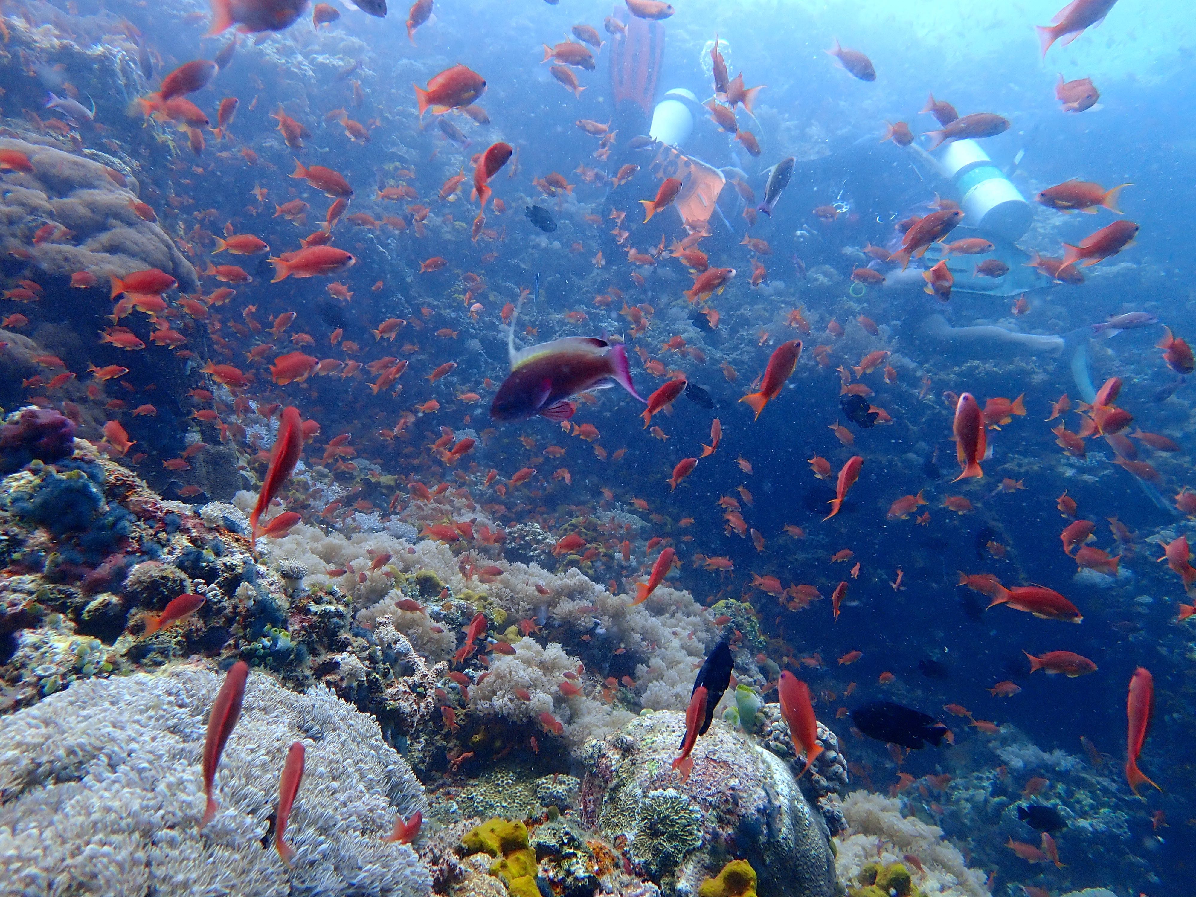 P3220568