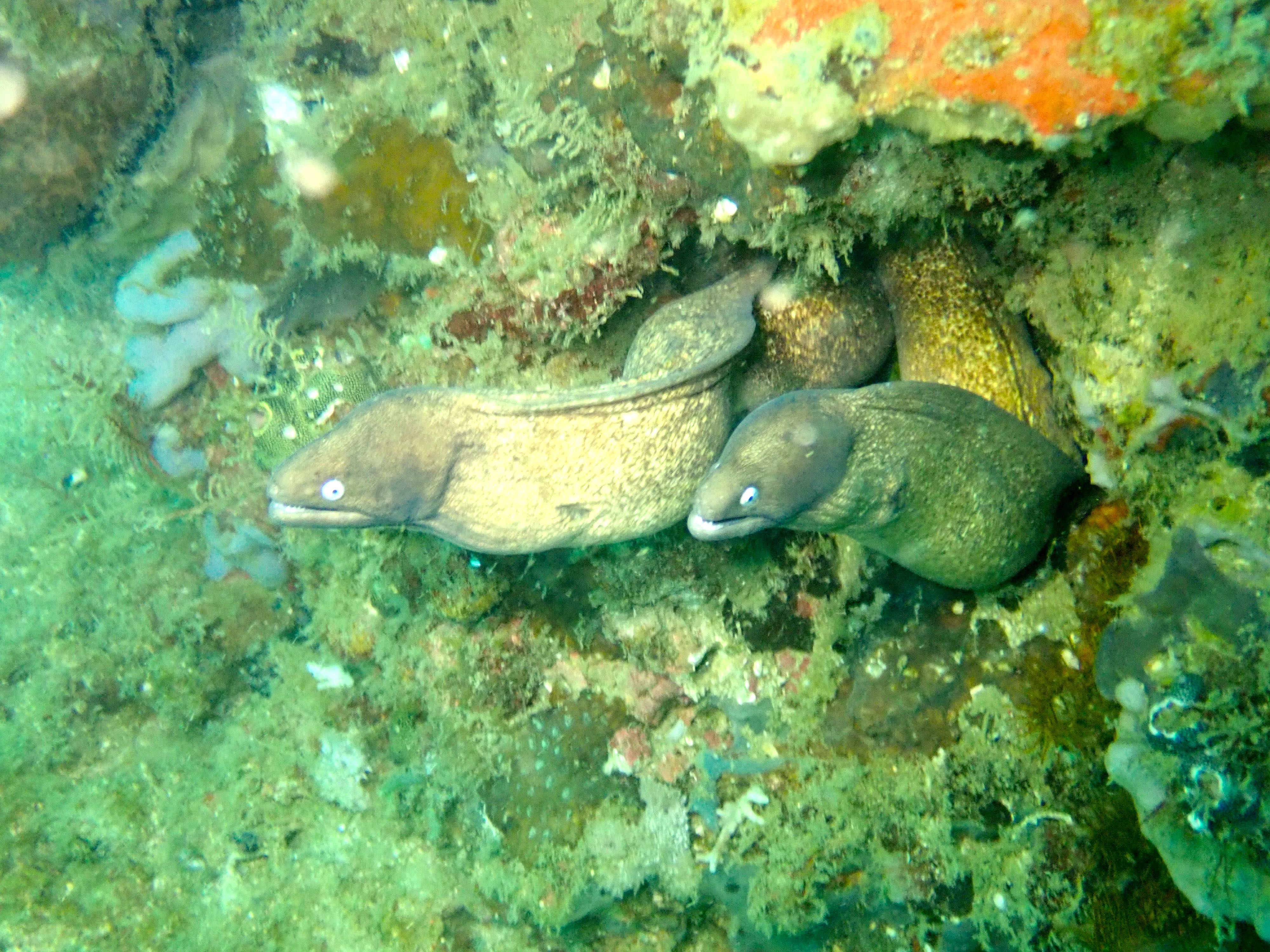P3240627