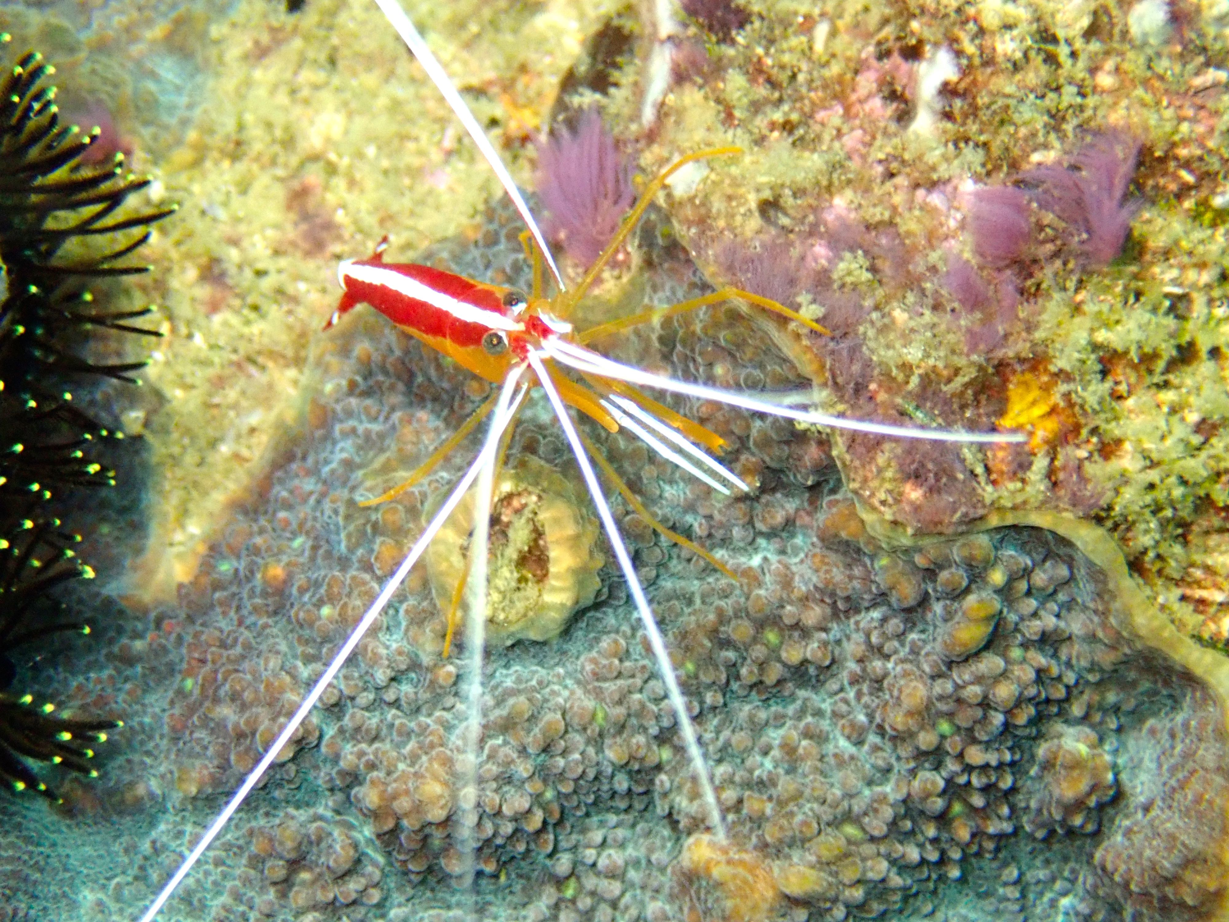 P3240646