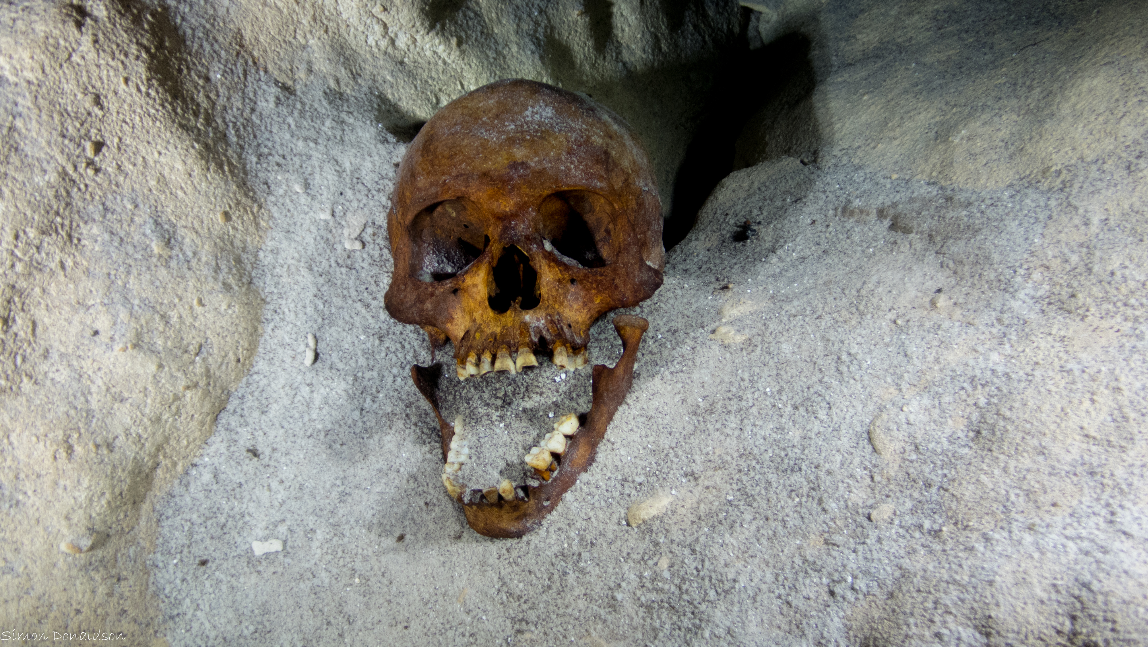 P4241527.jpg
