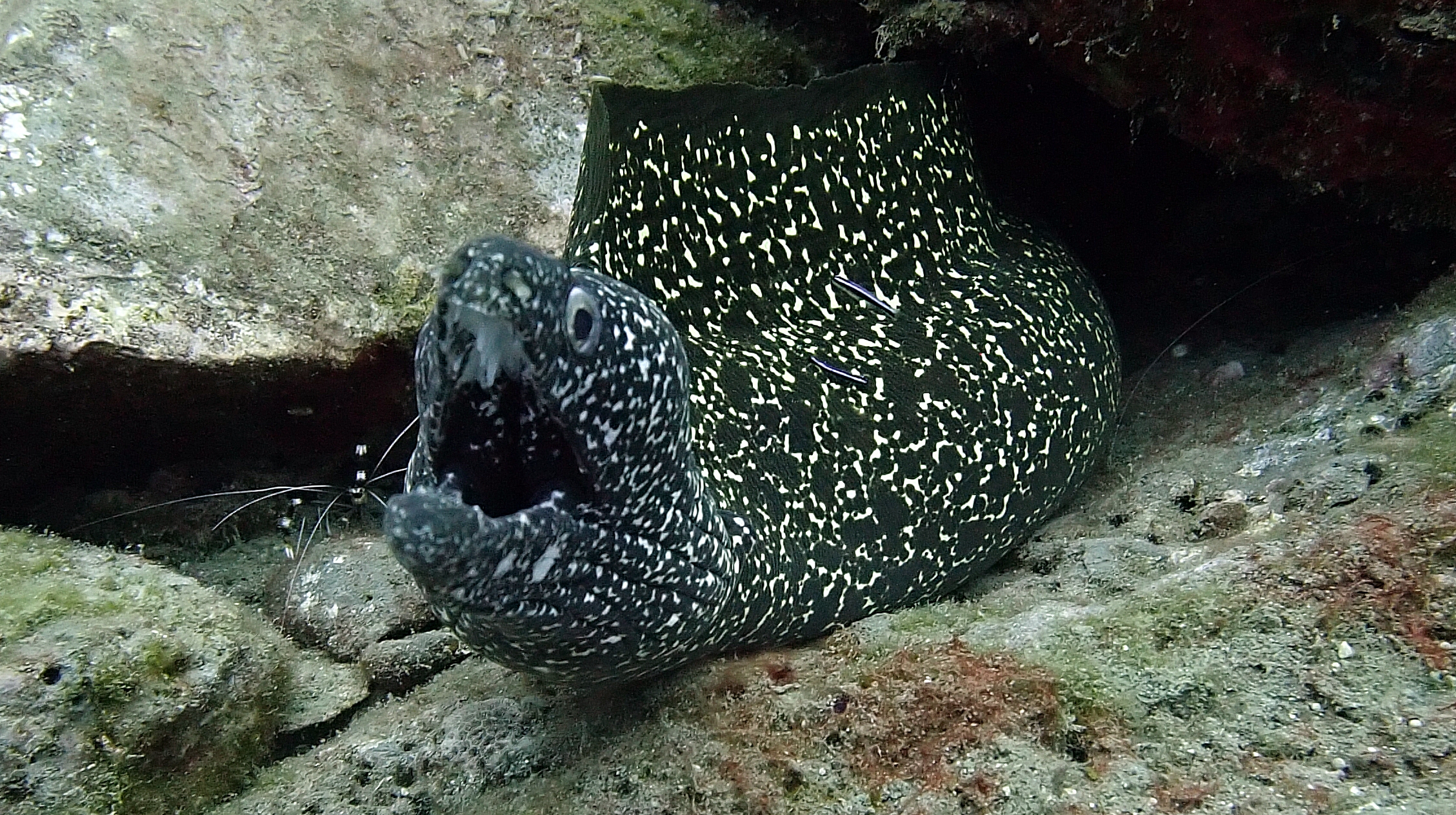 P5280130.JPG