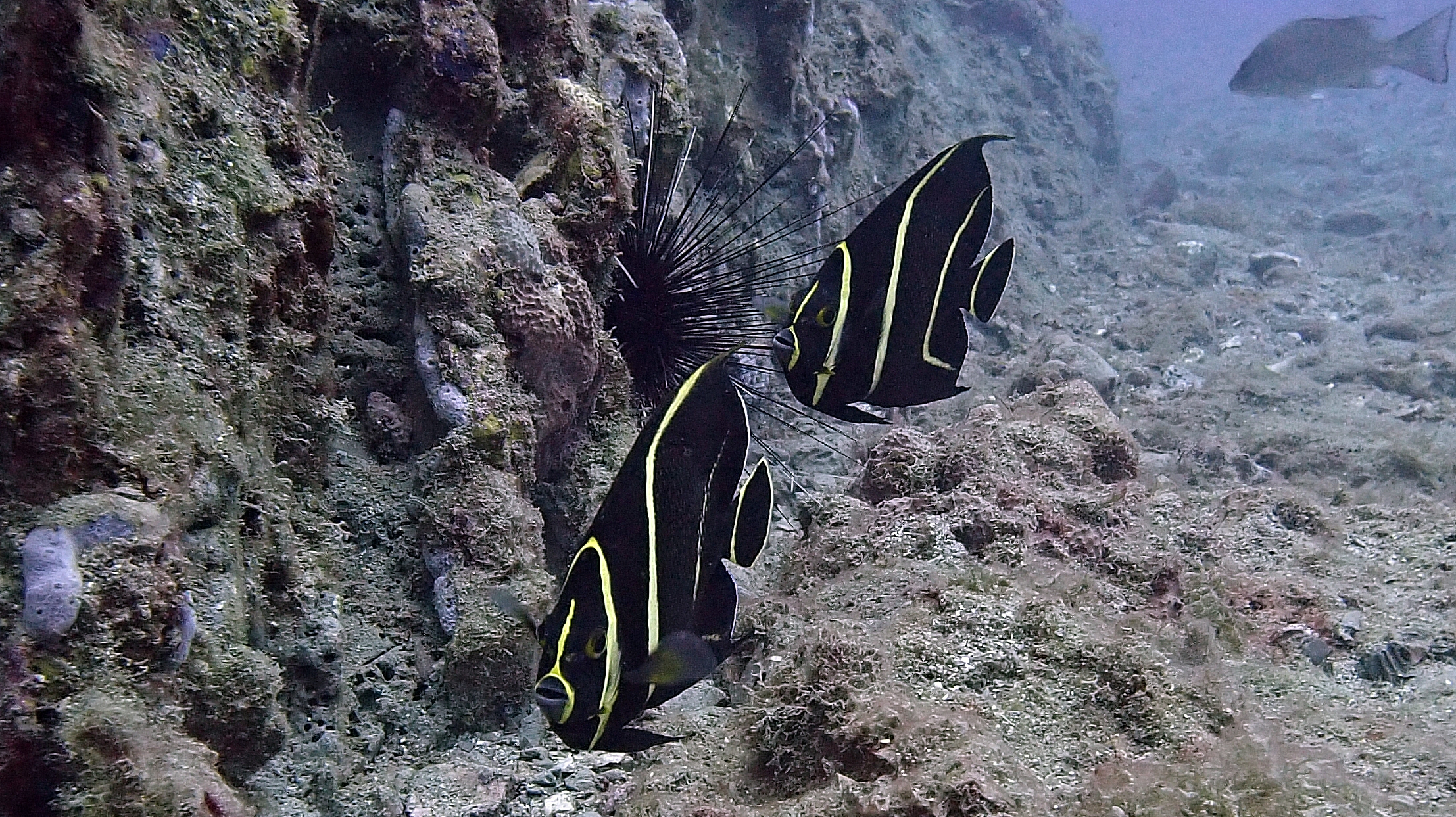 P5280134.JPG