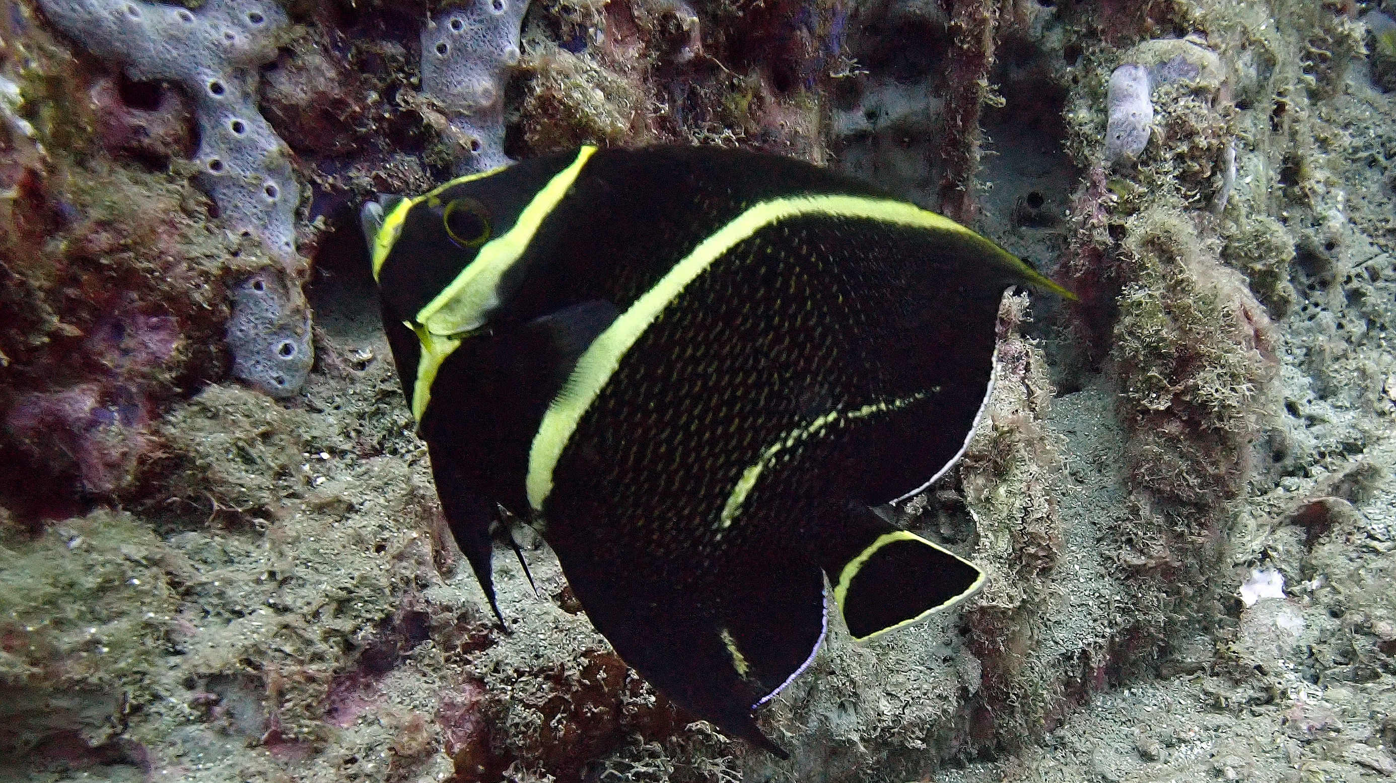 P5280135.JPG