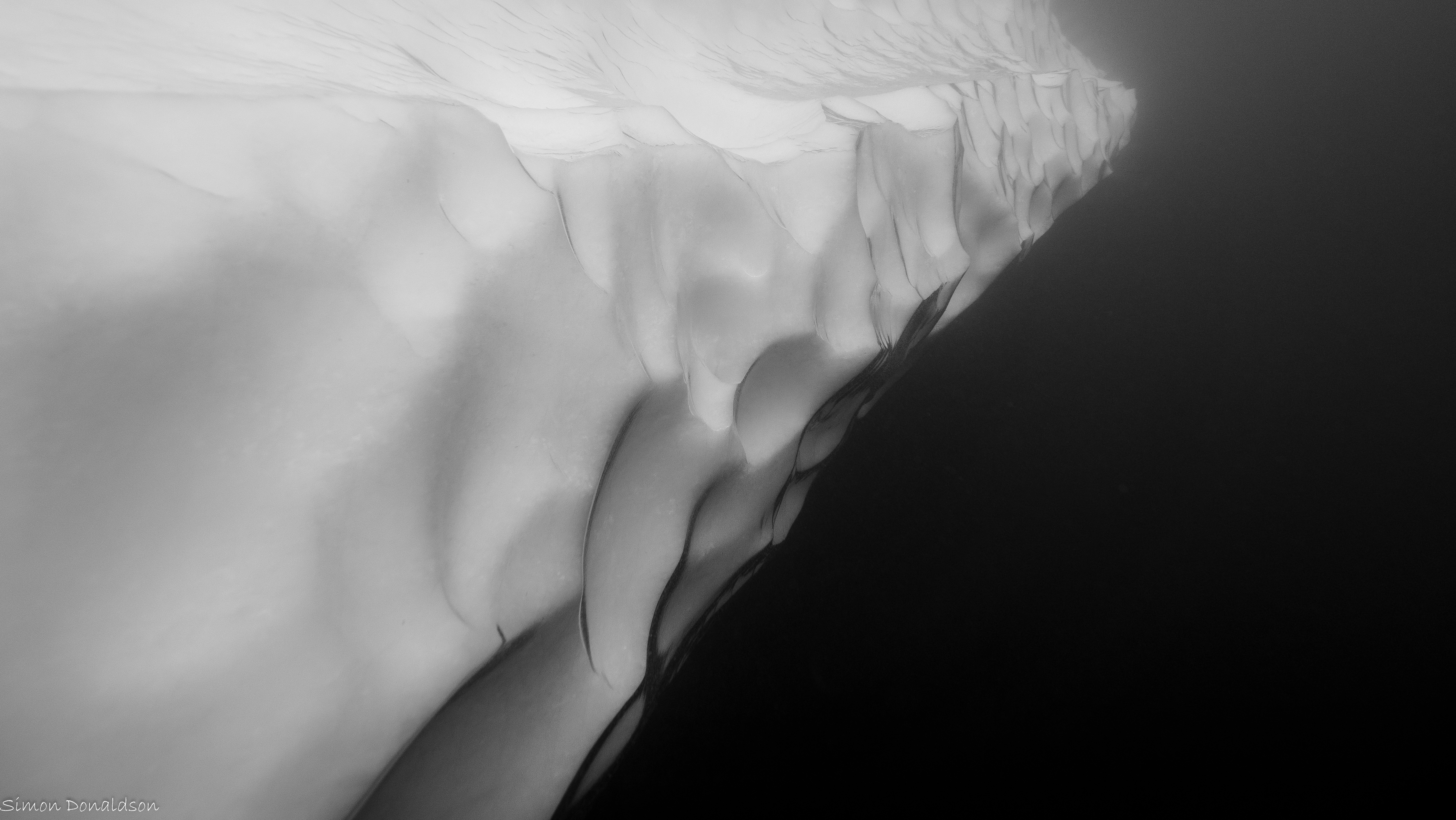 P8102246_conv.jpg
