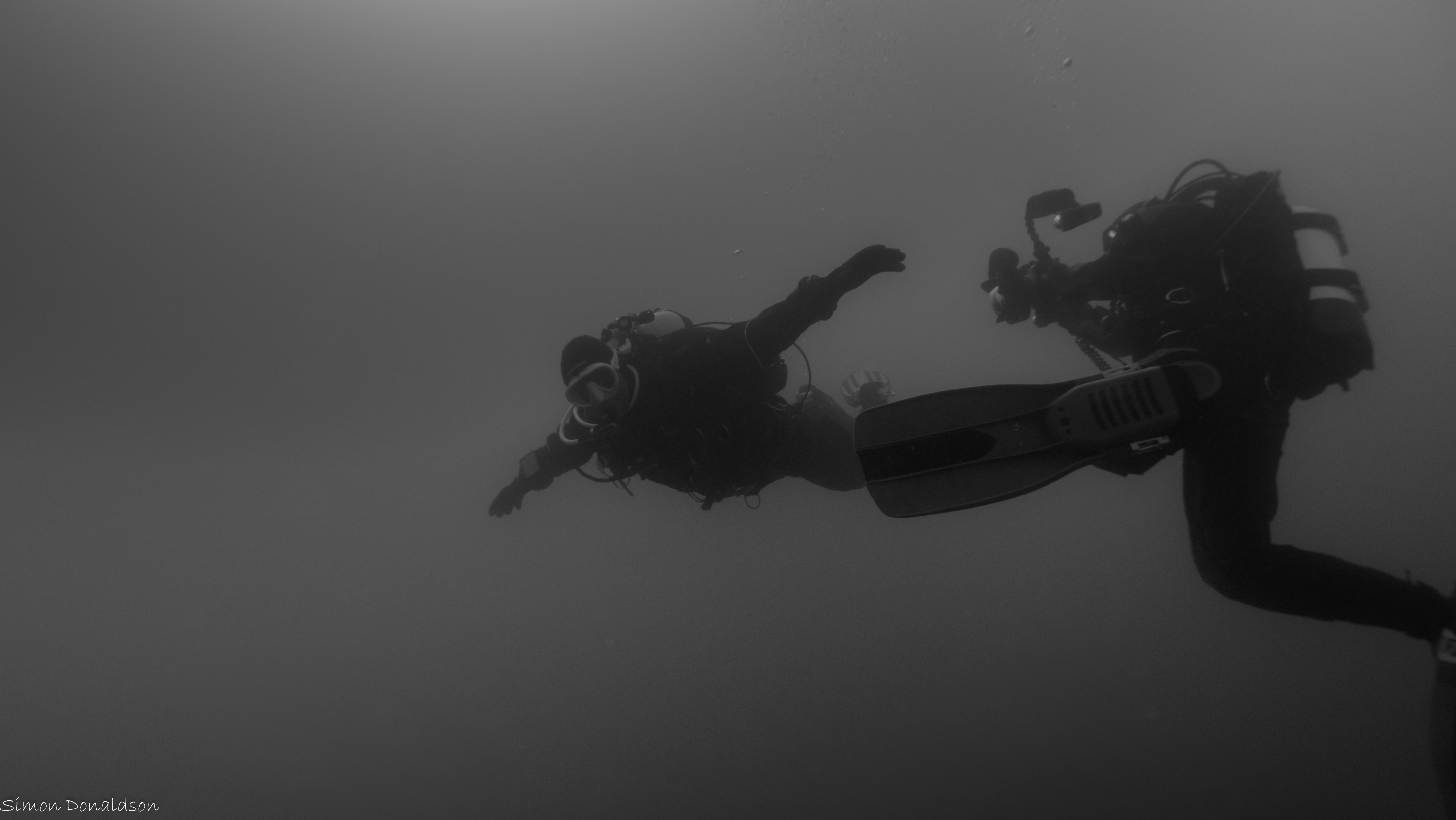 P8131007_conv.jpg