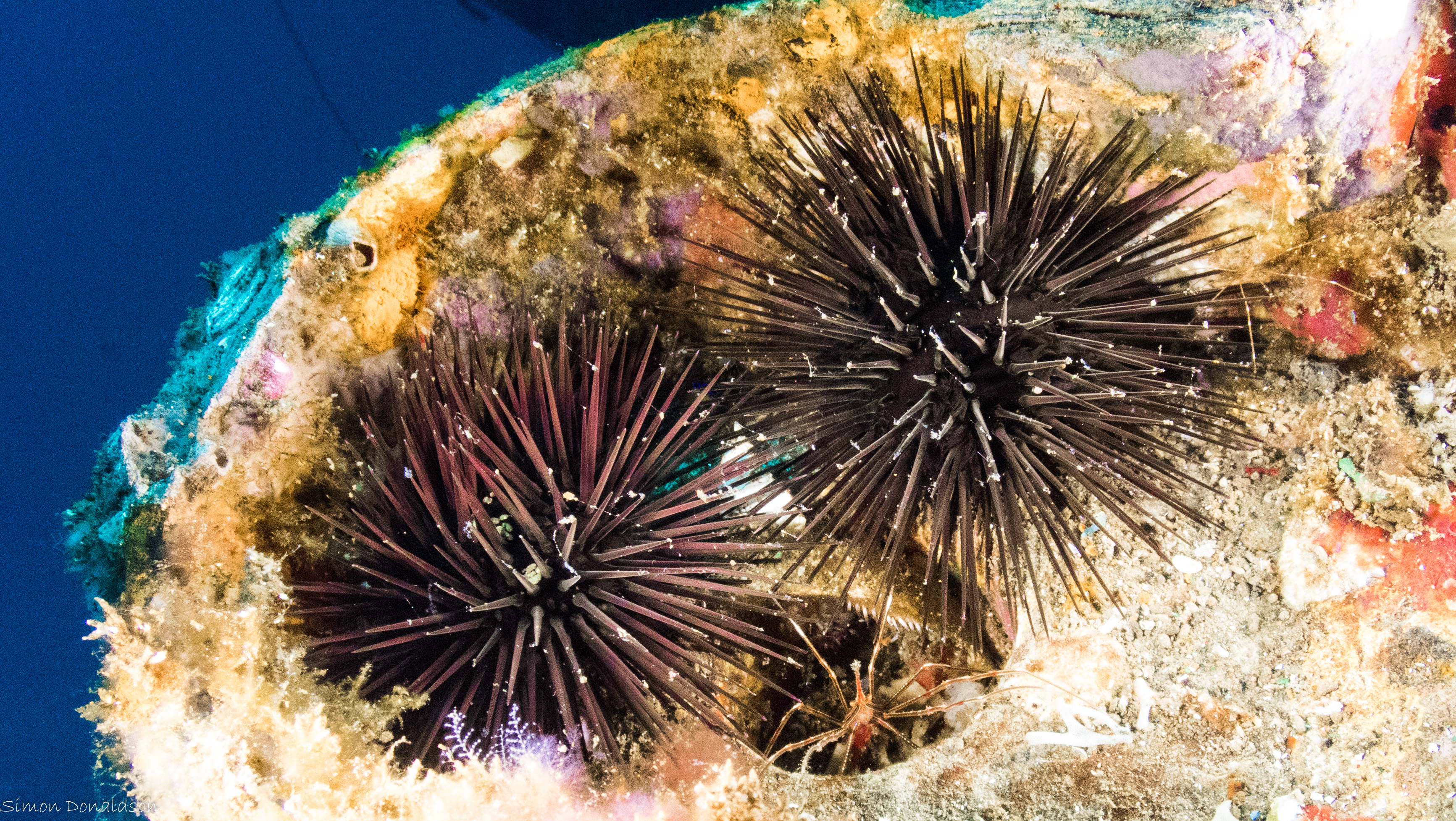 P8220521