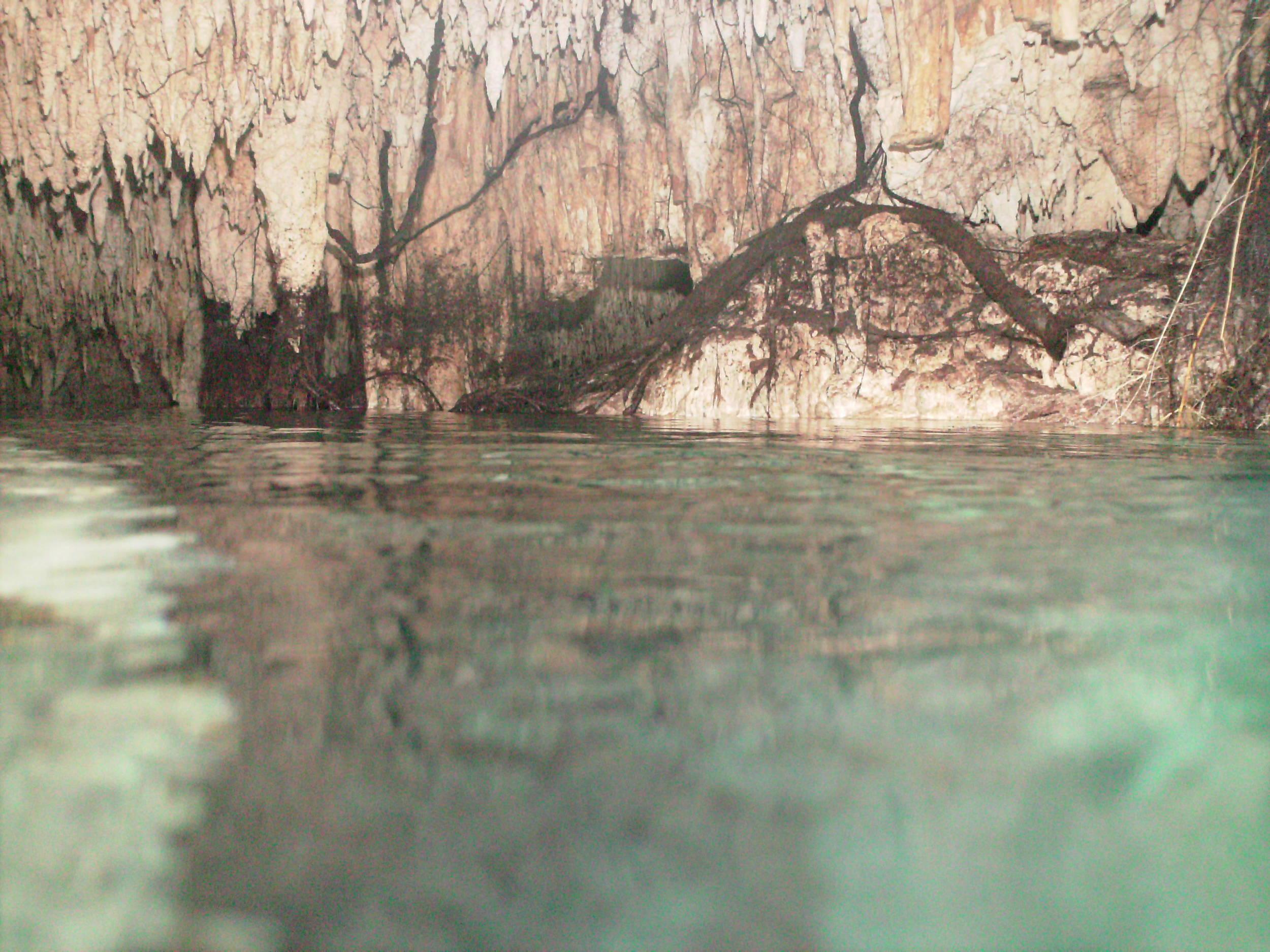 PICT00281