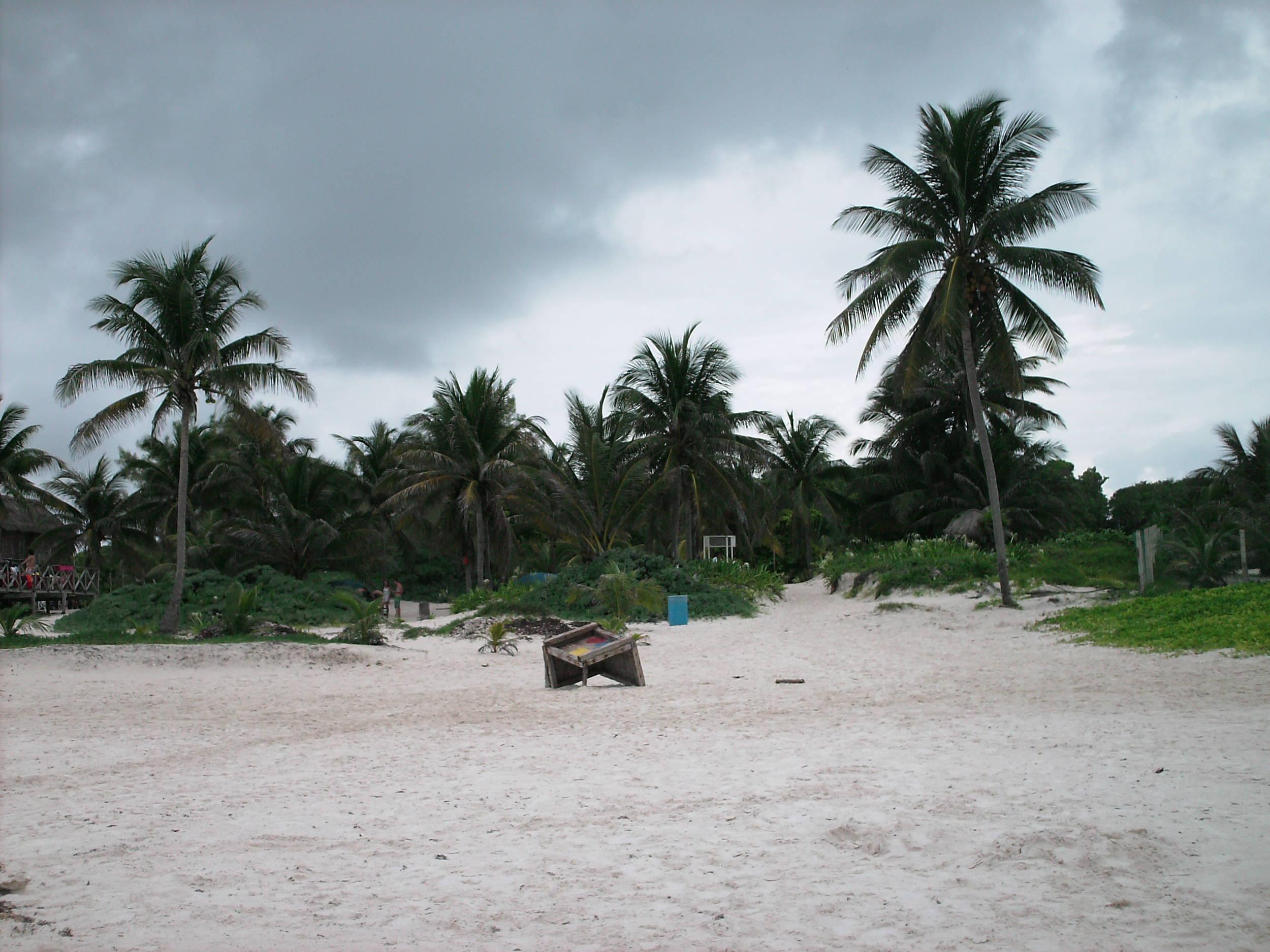 PICT0064
