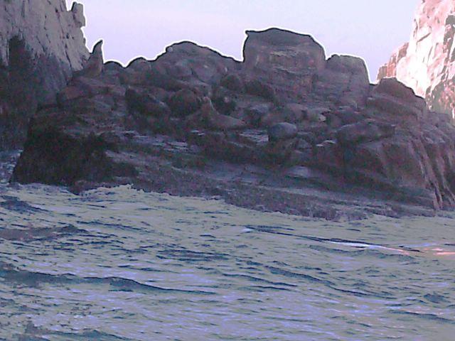 PICT0156A
