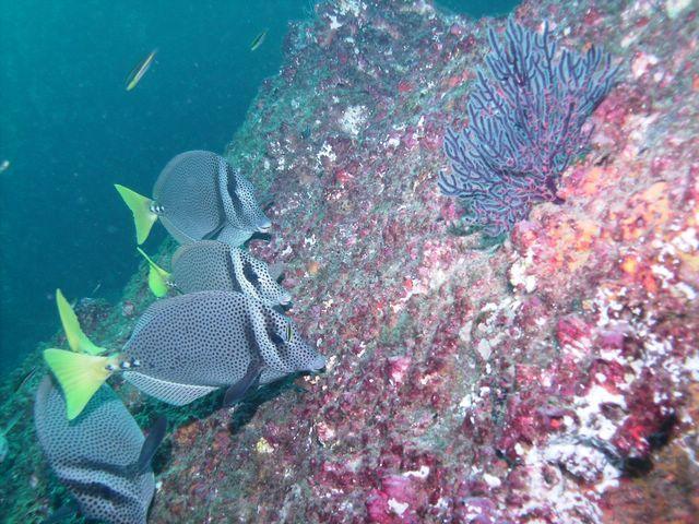 PICT0169