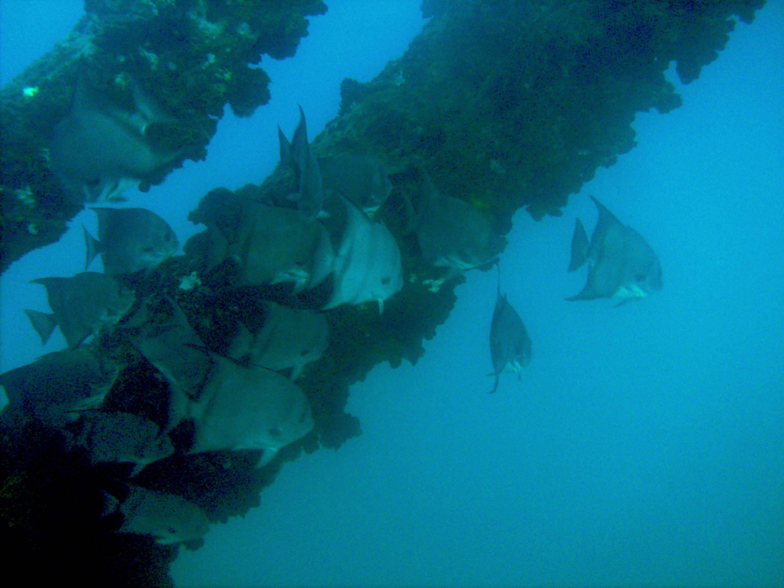 PICT0176
