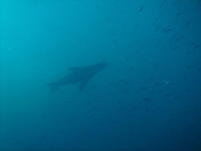 PICT0180