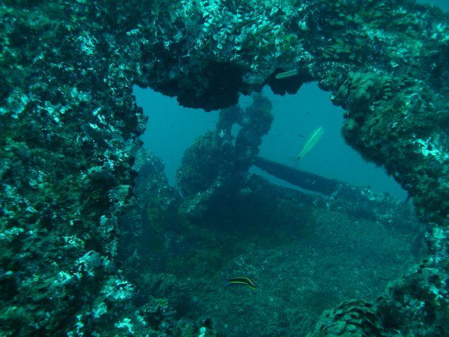 PICT0225