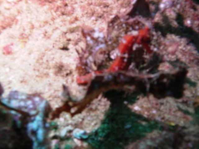 PICT0270