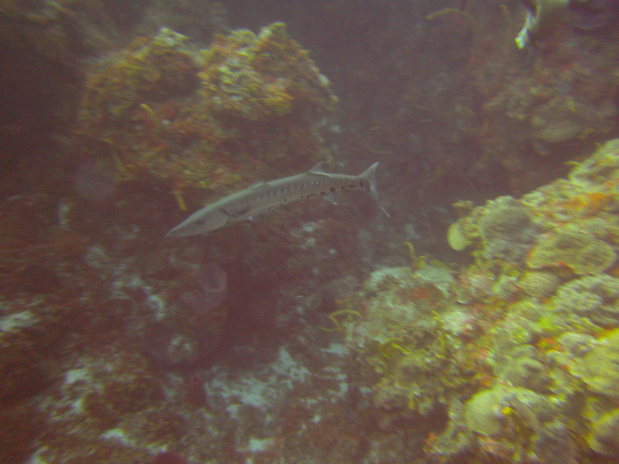 PICT0344