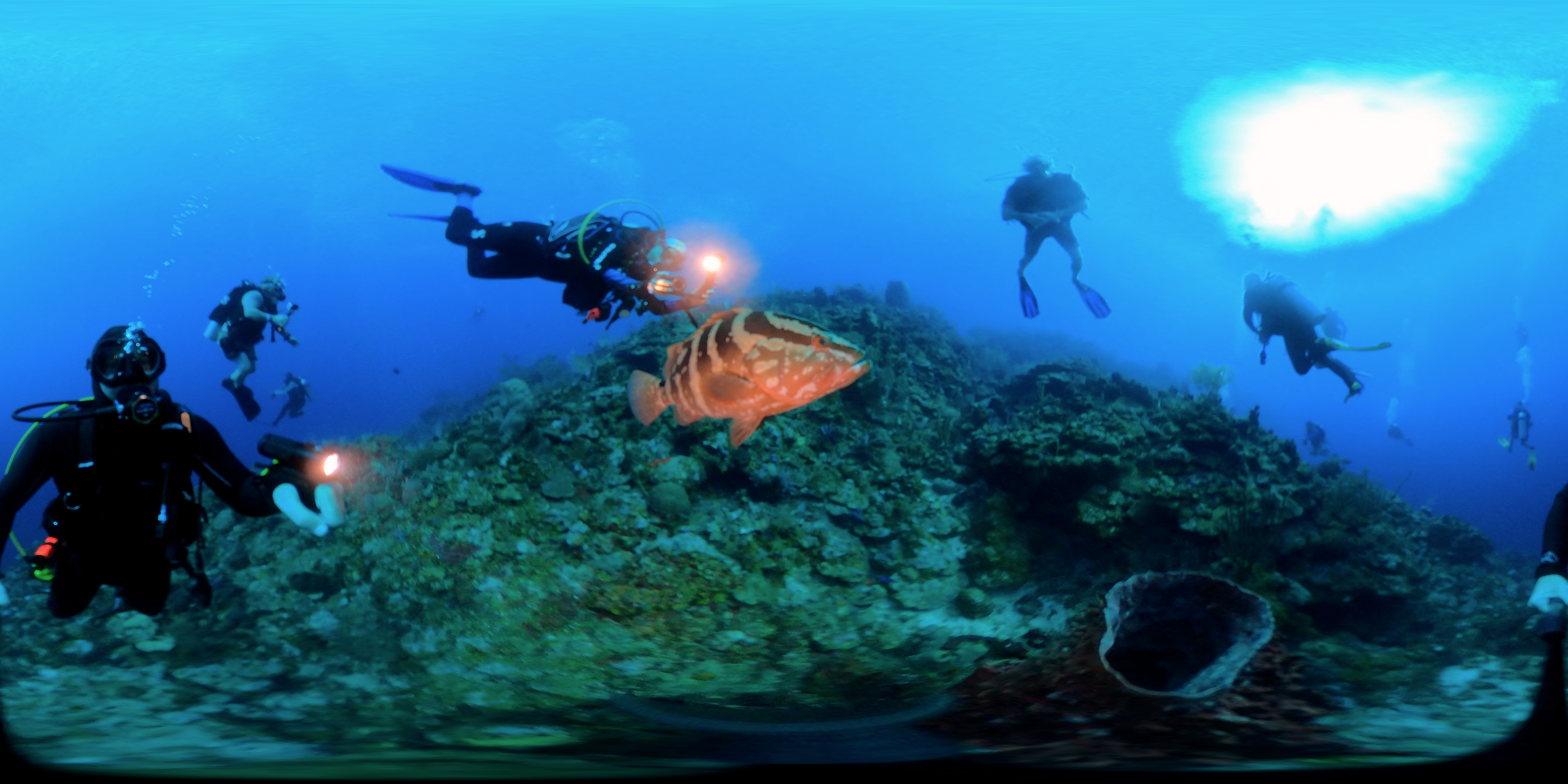 Pirates Cove in 360 degrees