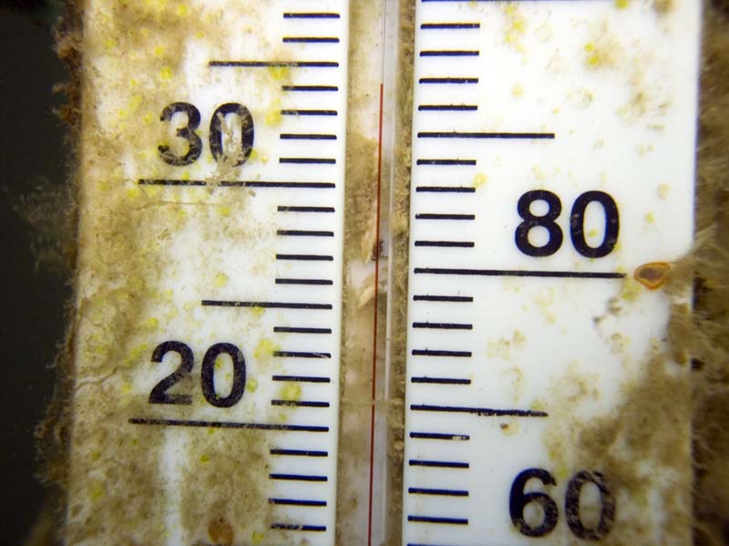 Platform thermometer
