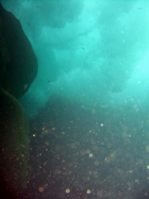 Pretty sponge