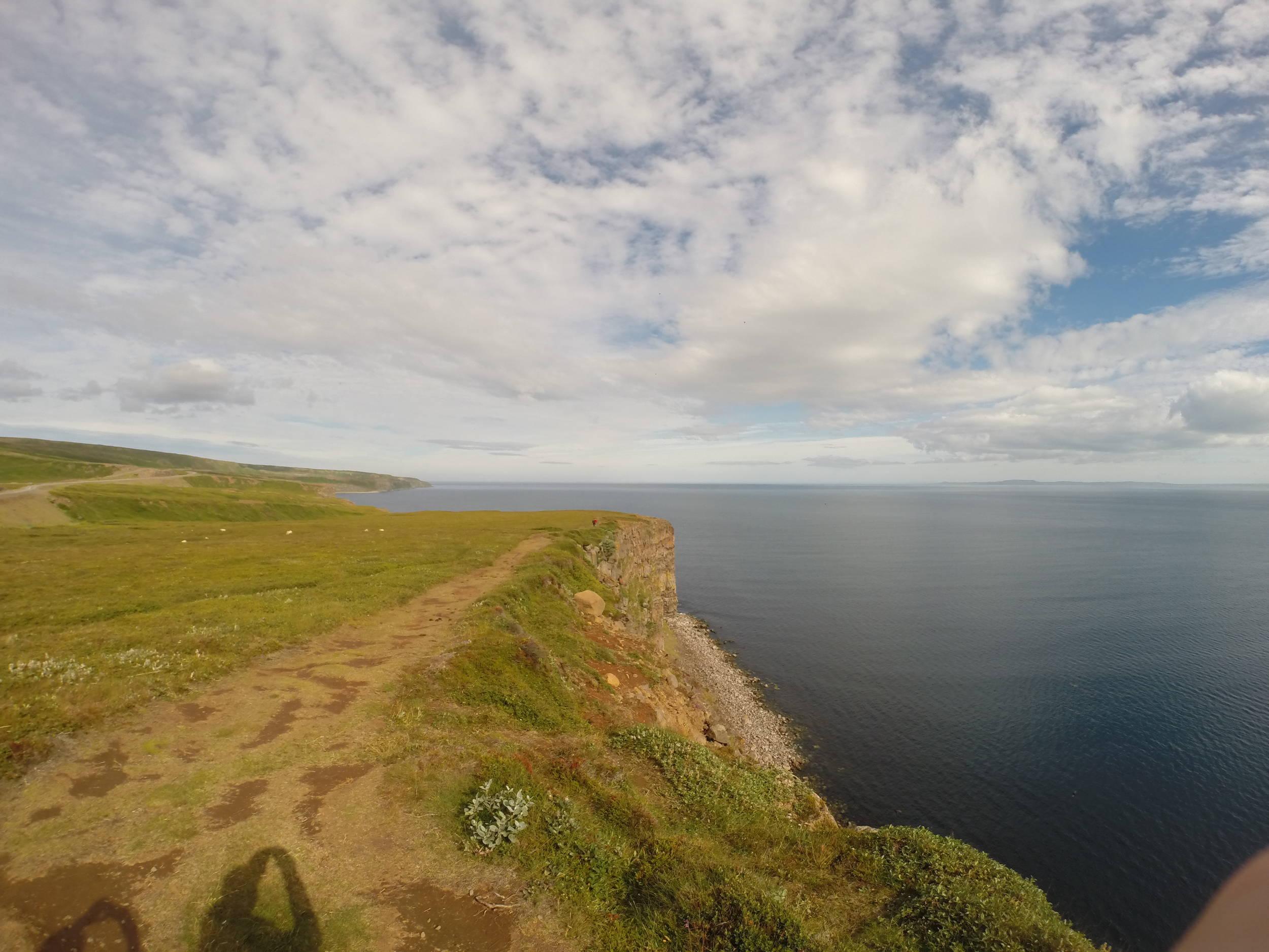 Puffin cliffs