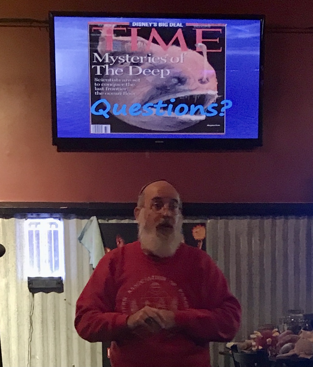 Q&A