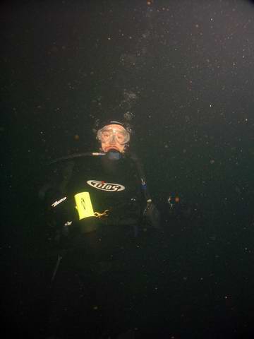 Reefhound