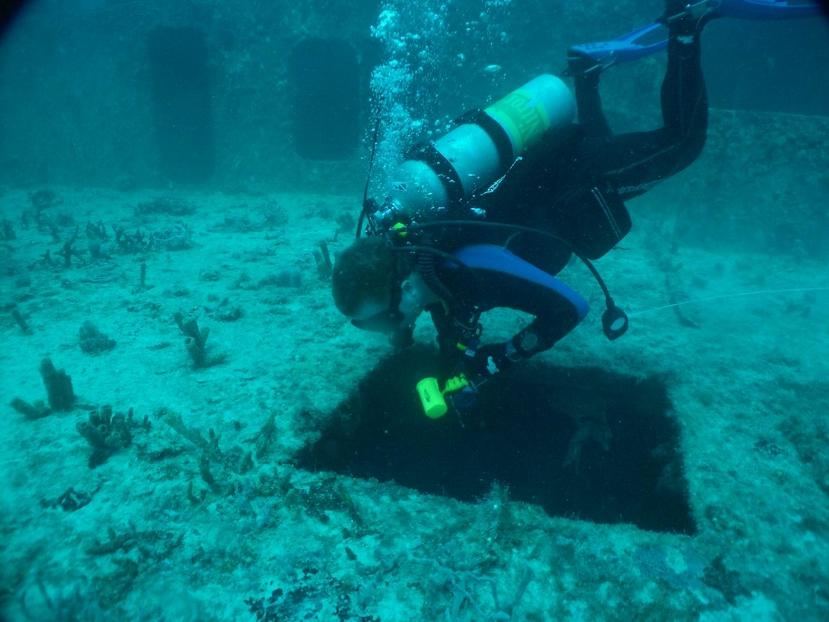 Reefy in