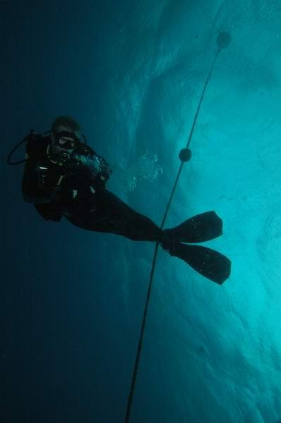 Reefy Pole Dancing