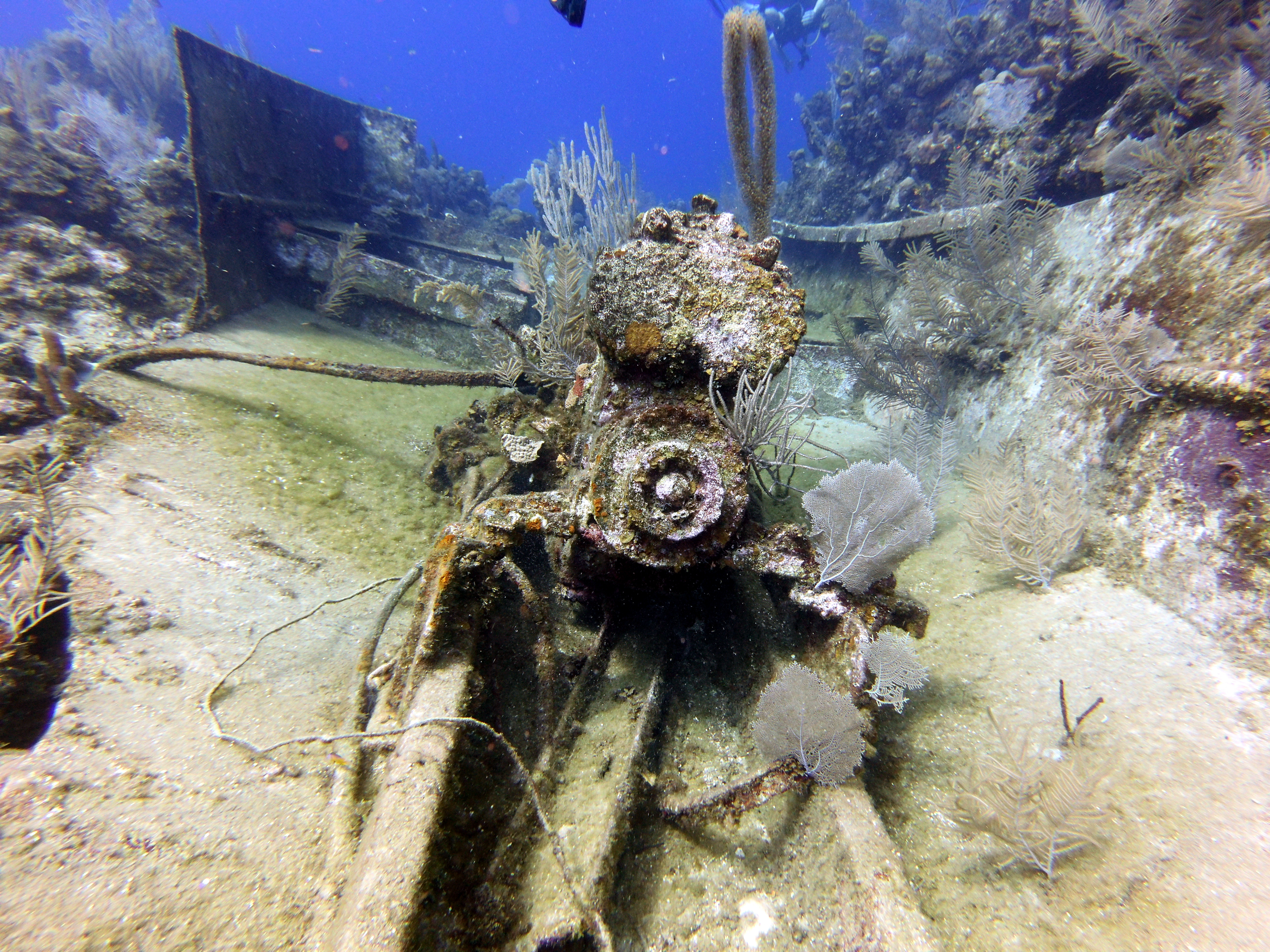 Remnants of a boat in The Wife