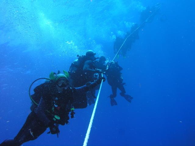 rig dive rush hour