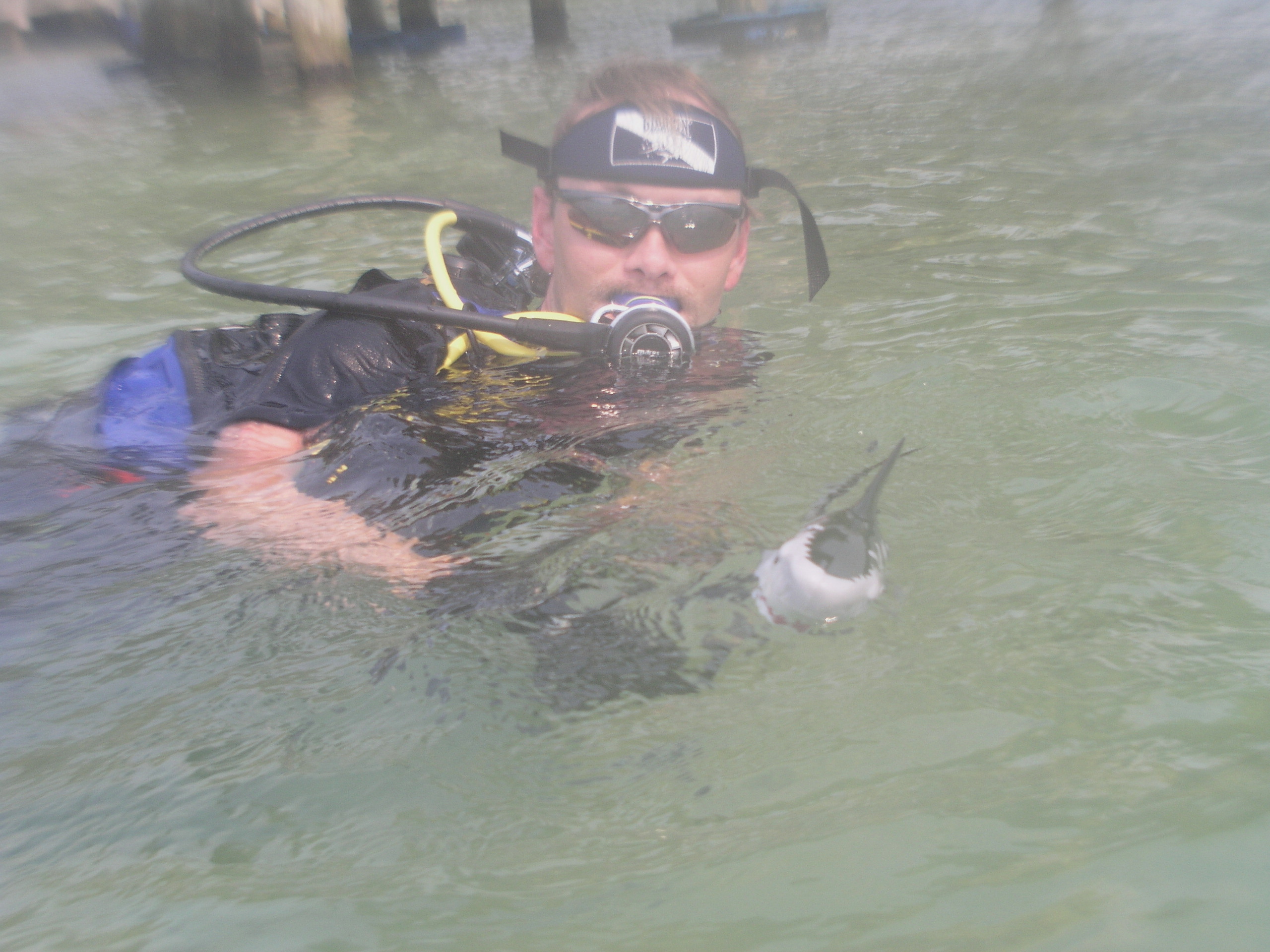 Roatan 2005 reupload
