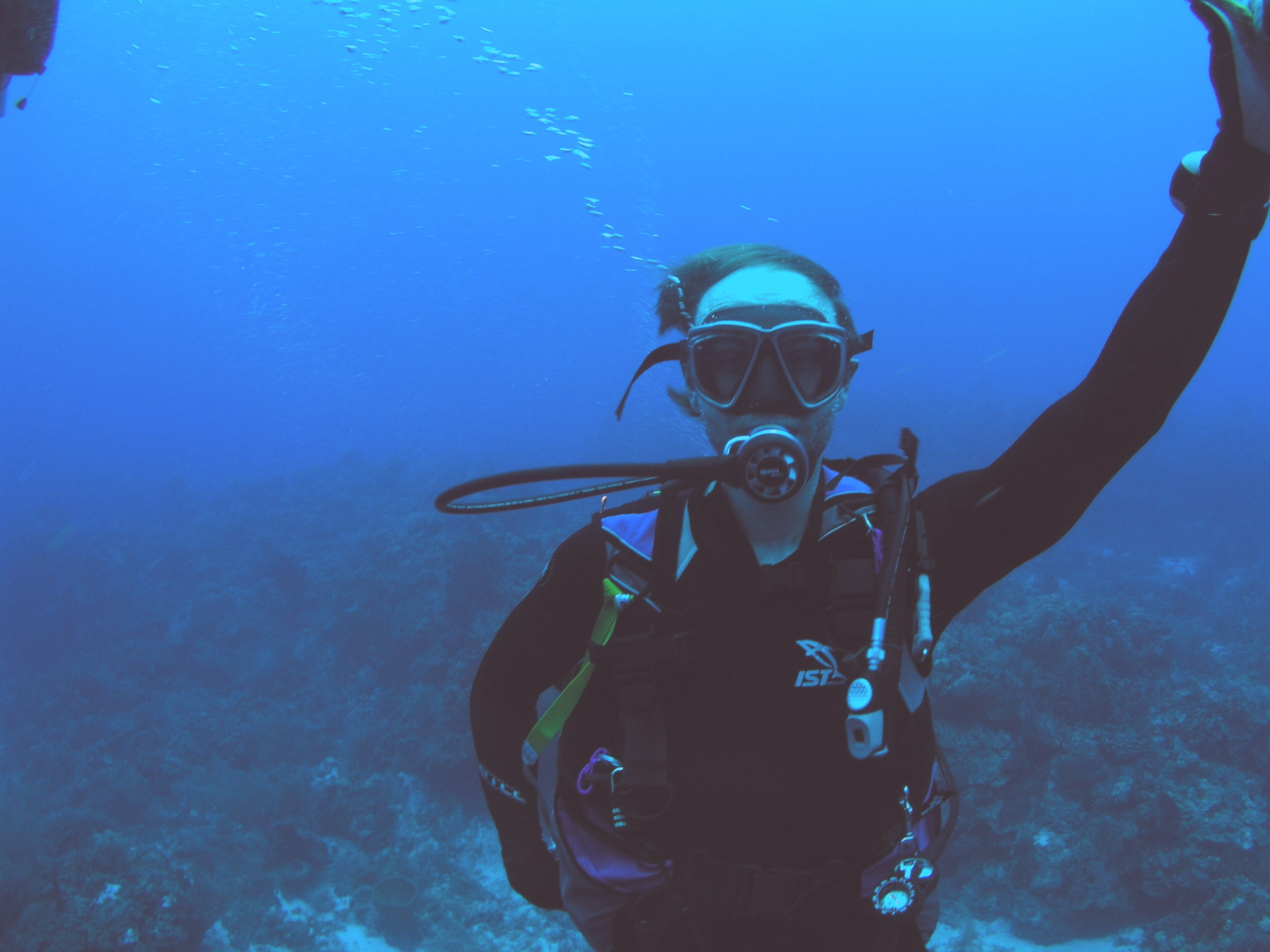 Roatan 2005 reupload