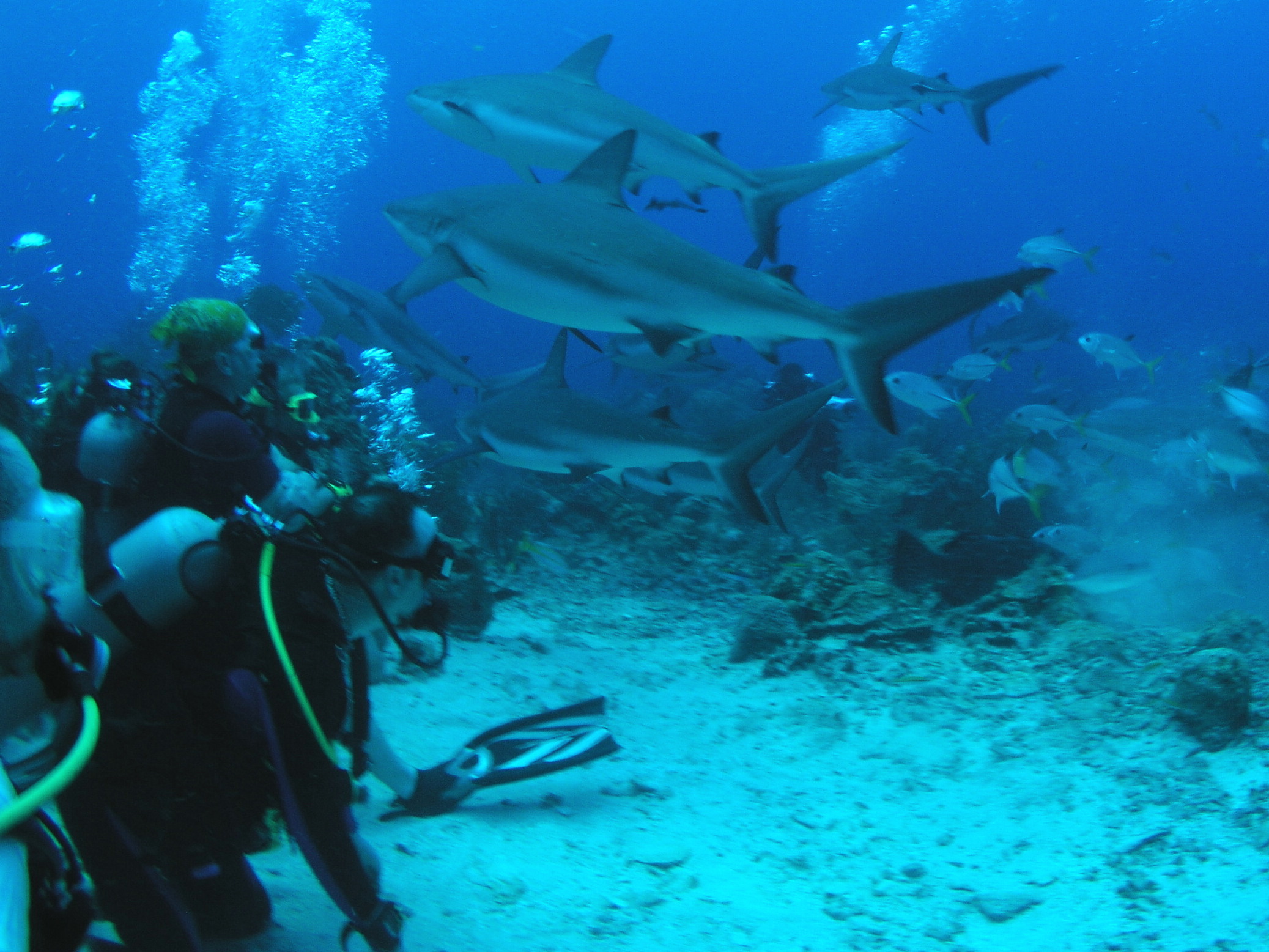 Roatan 2005 reupload