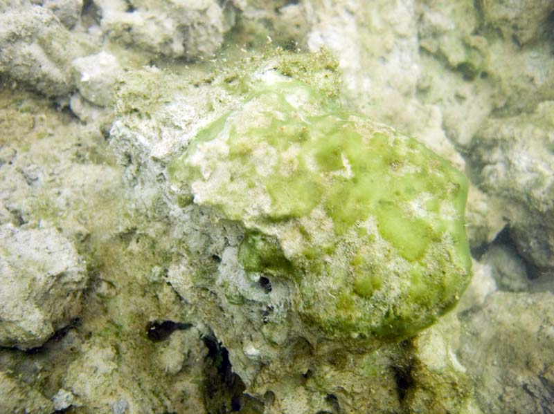 Rock formation