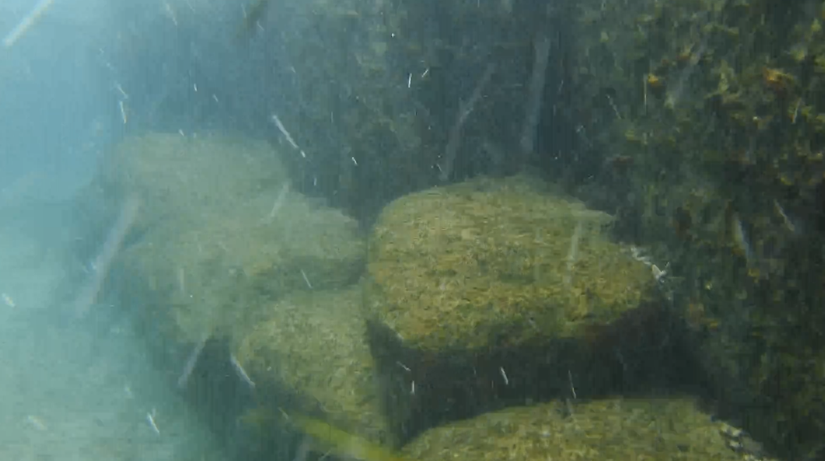 Rocks For Crawling To Underwater Waterslide - MAR Comal