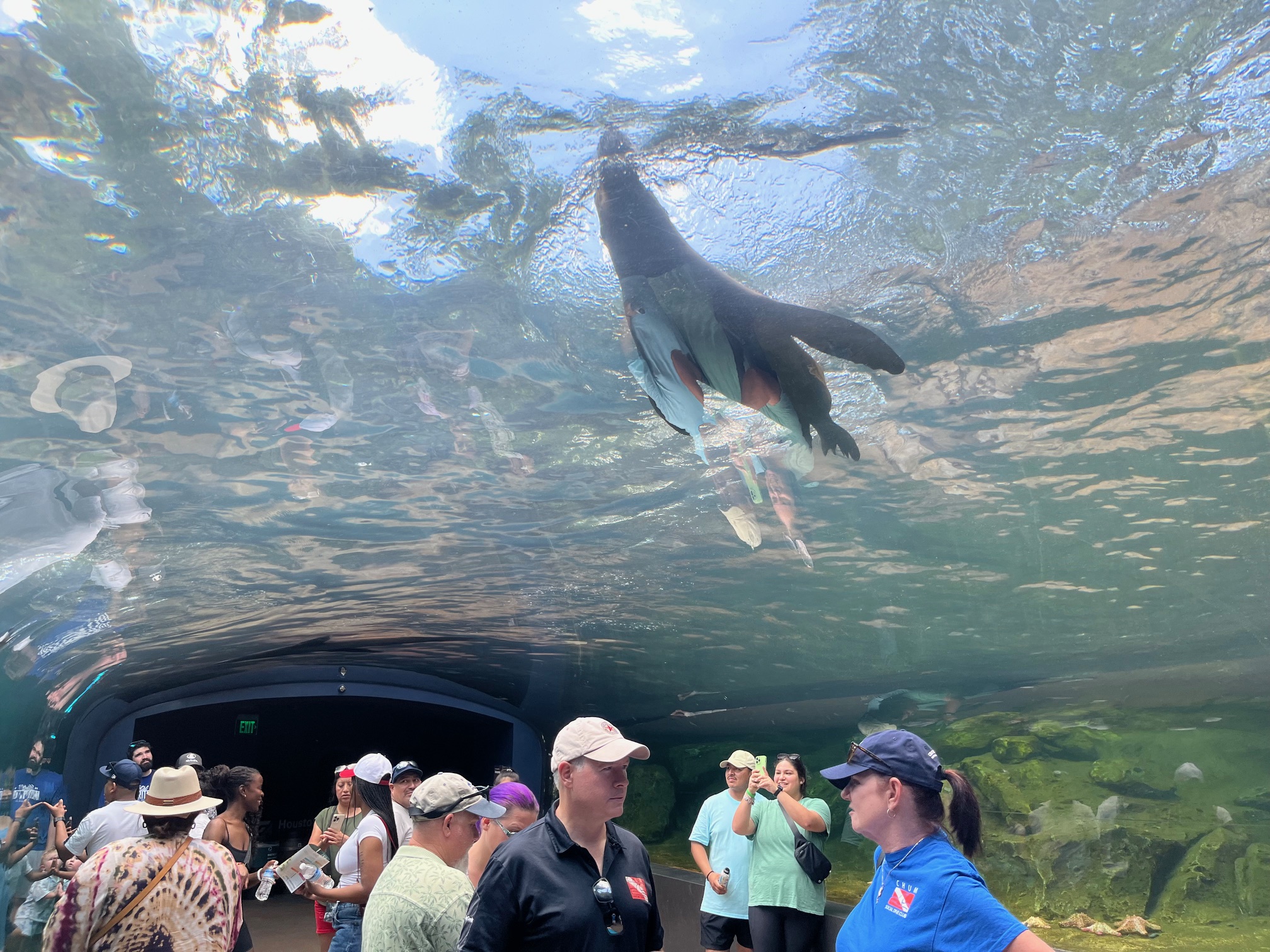 Seals all around