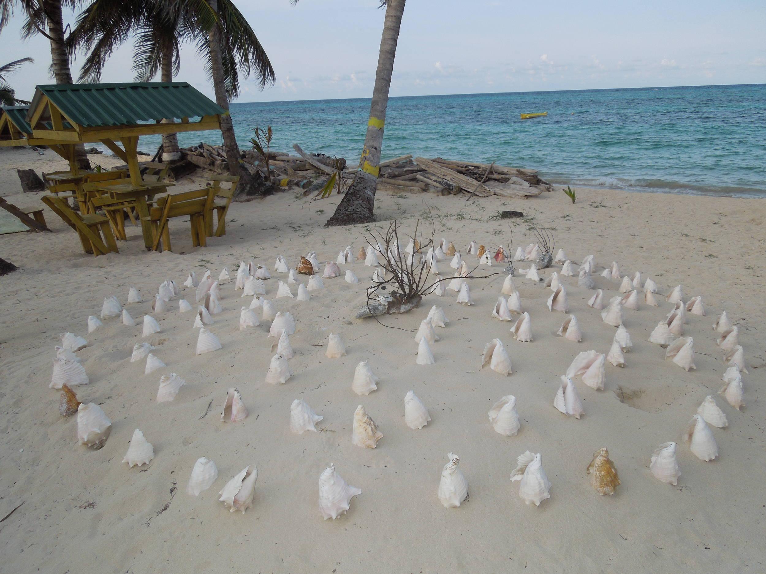 shell game