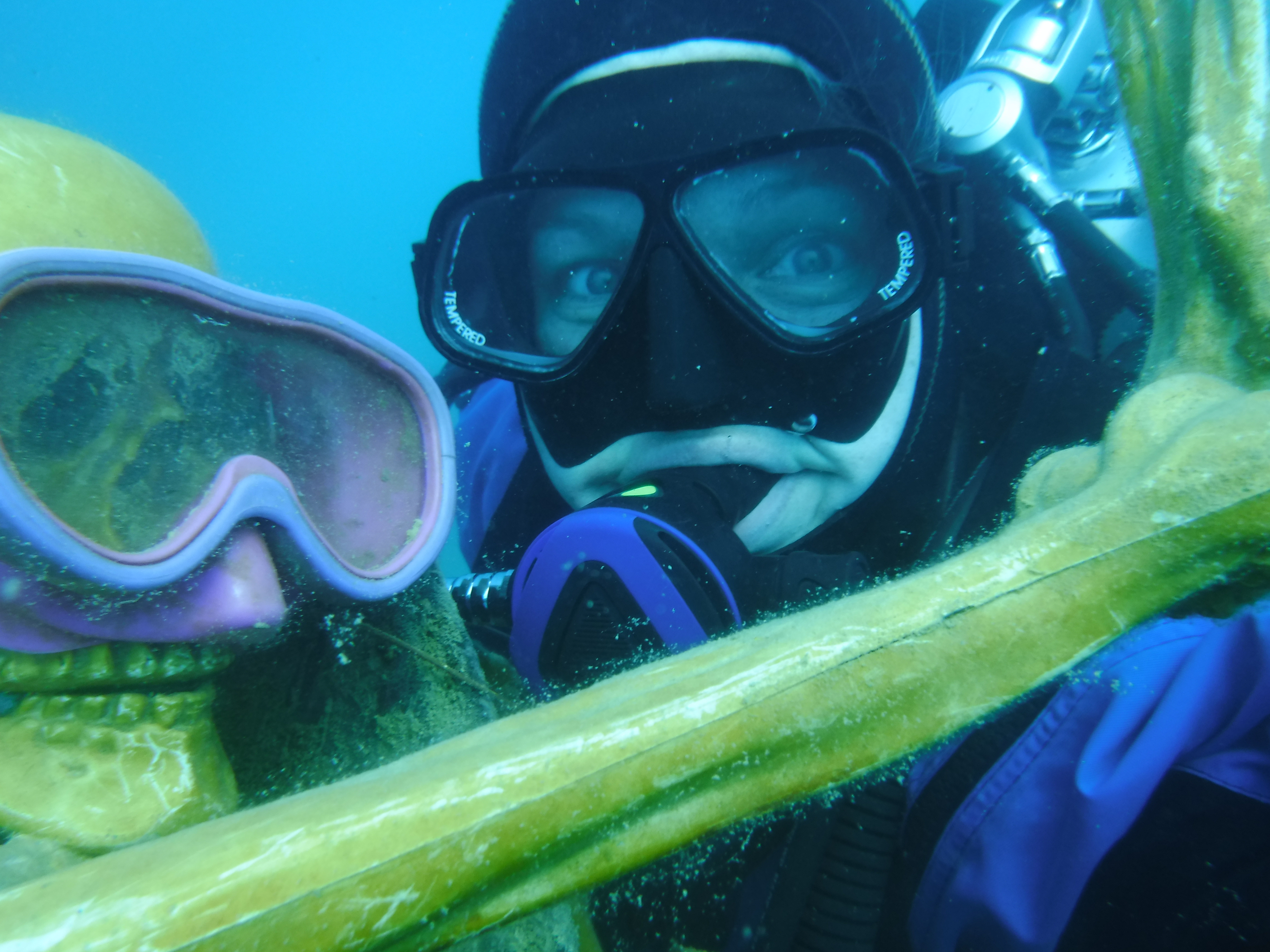 Siren's New Dive Buddy - FEB Blue Lagoon