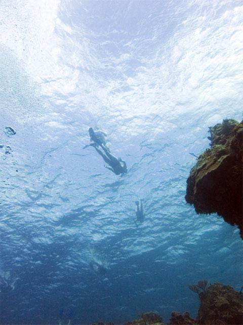Snorkelers!