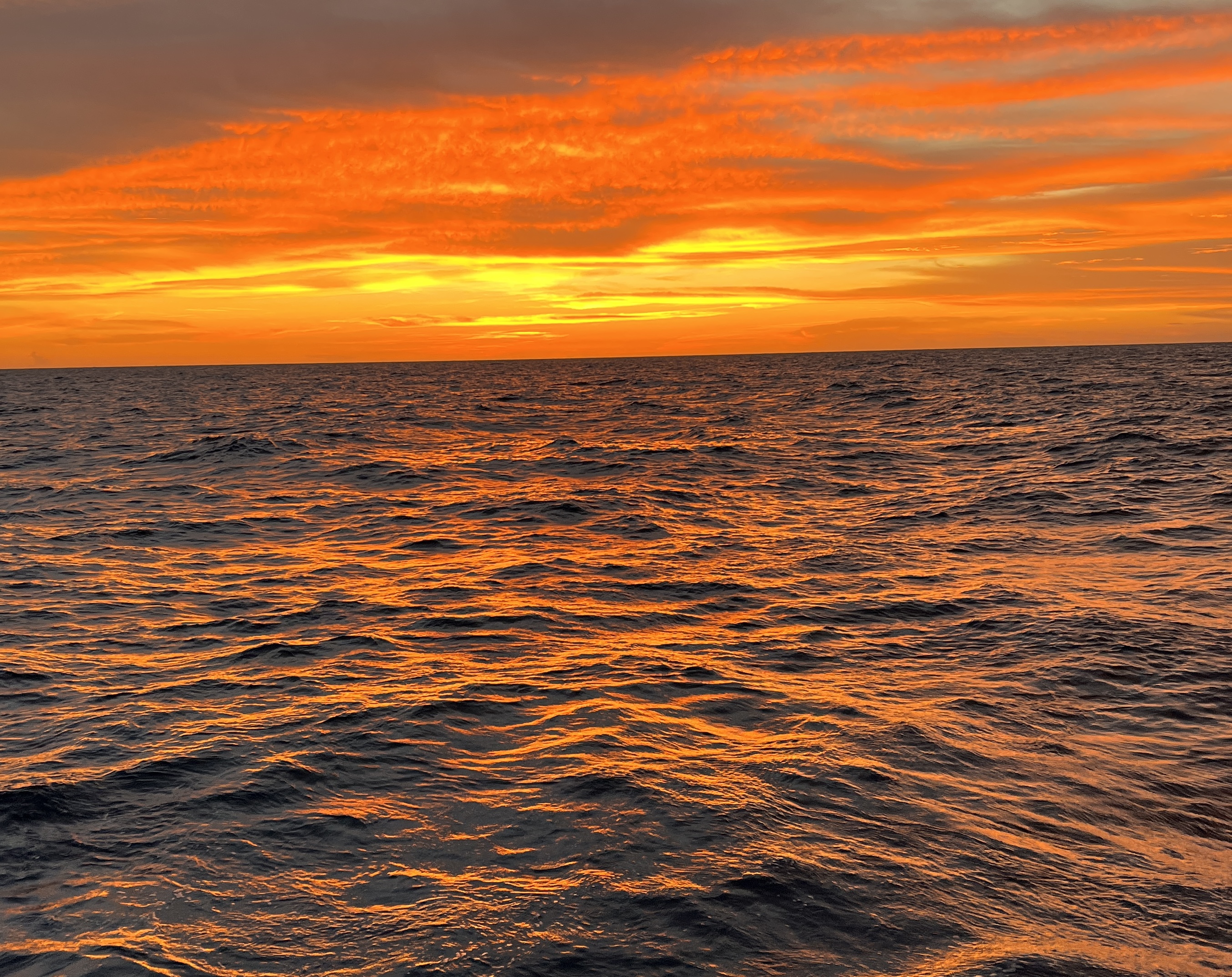 Sunset stunner