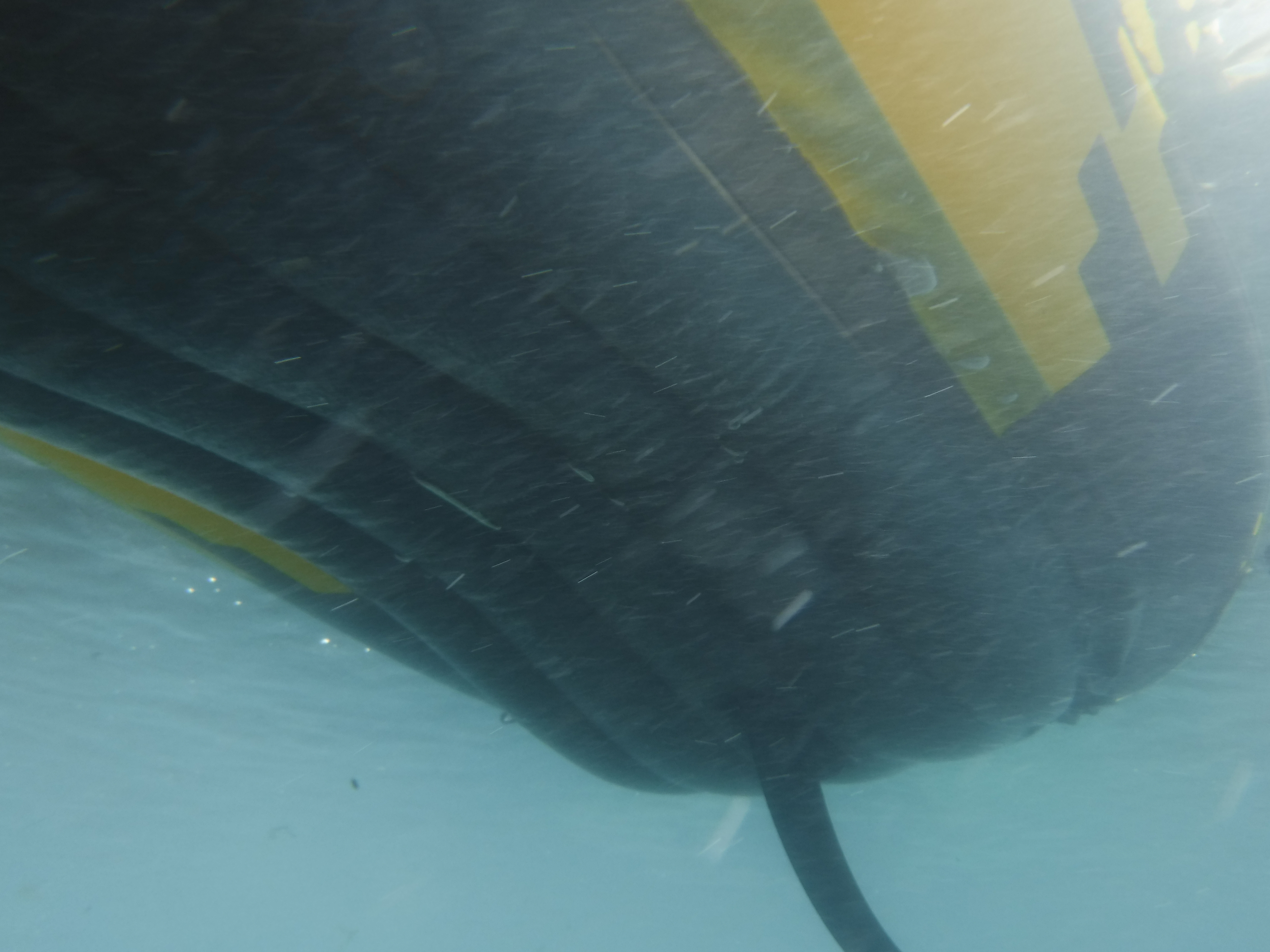 Surface Support Kayak 03 - MAR Comal
