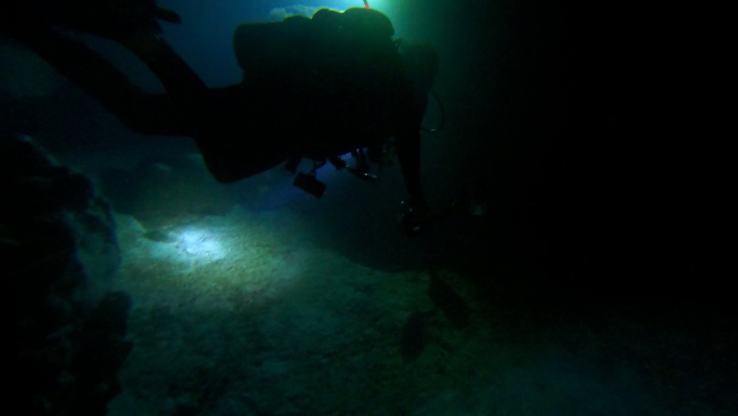 Sushi Boy on night dive