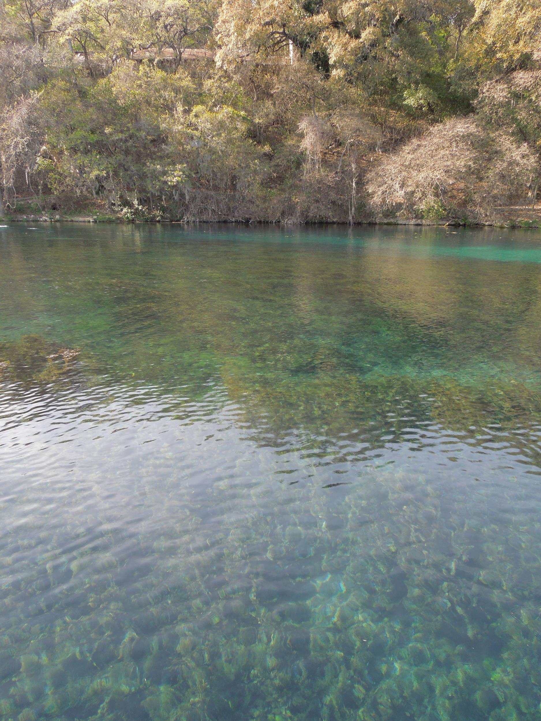 take me to the river