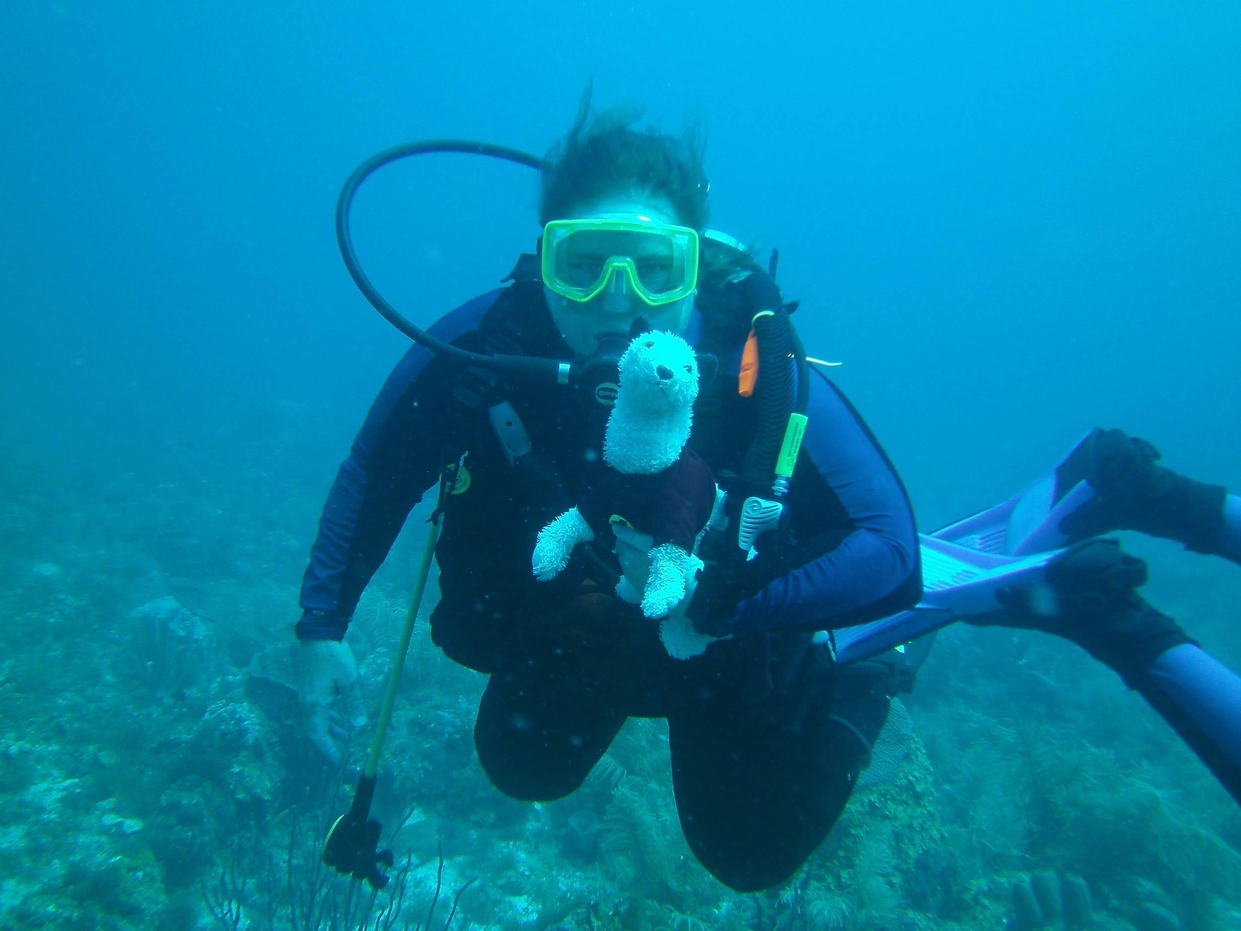 taking Wet for a dive