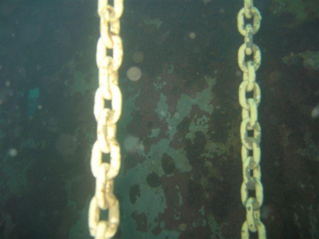 TexasClipper131